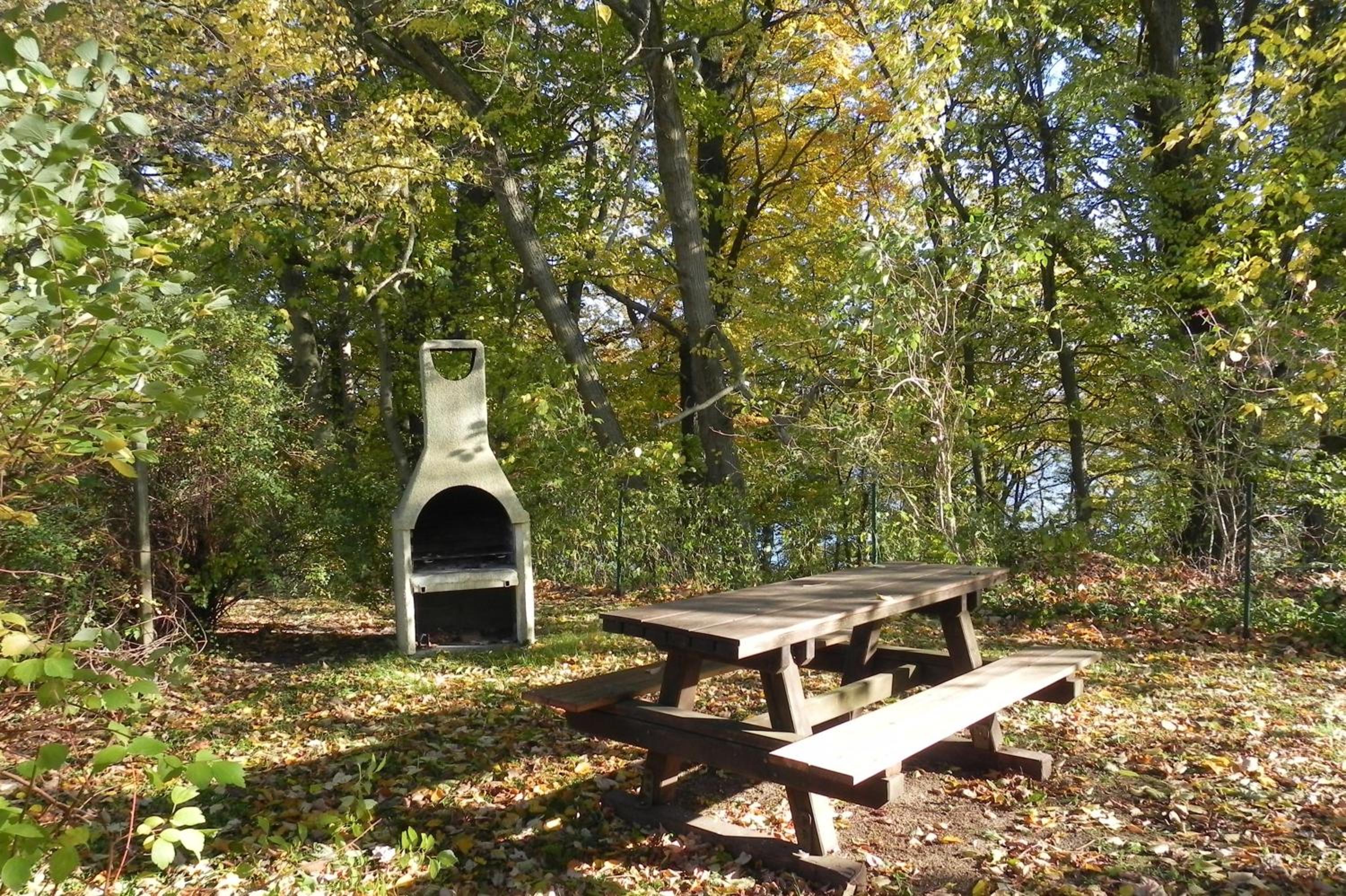 Ferienwohnungen am See