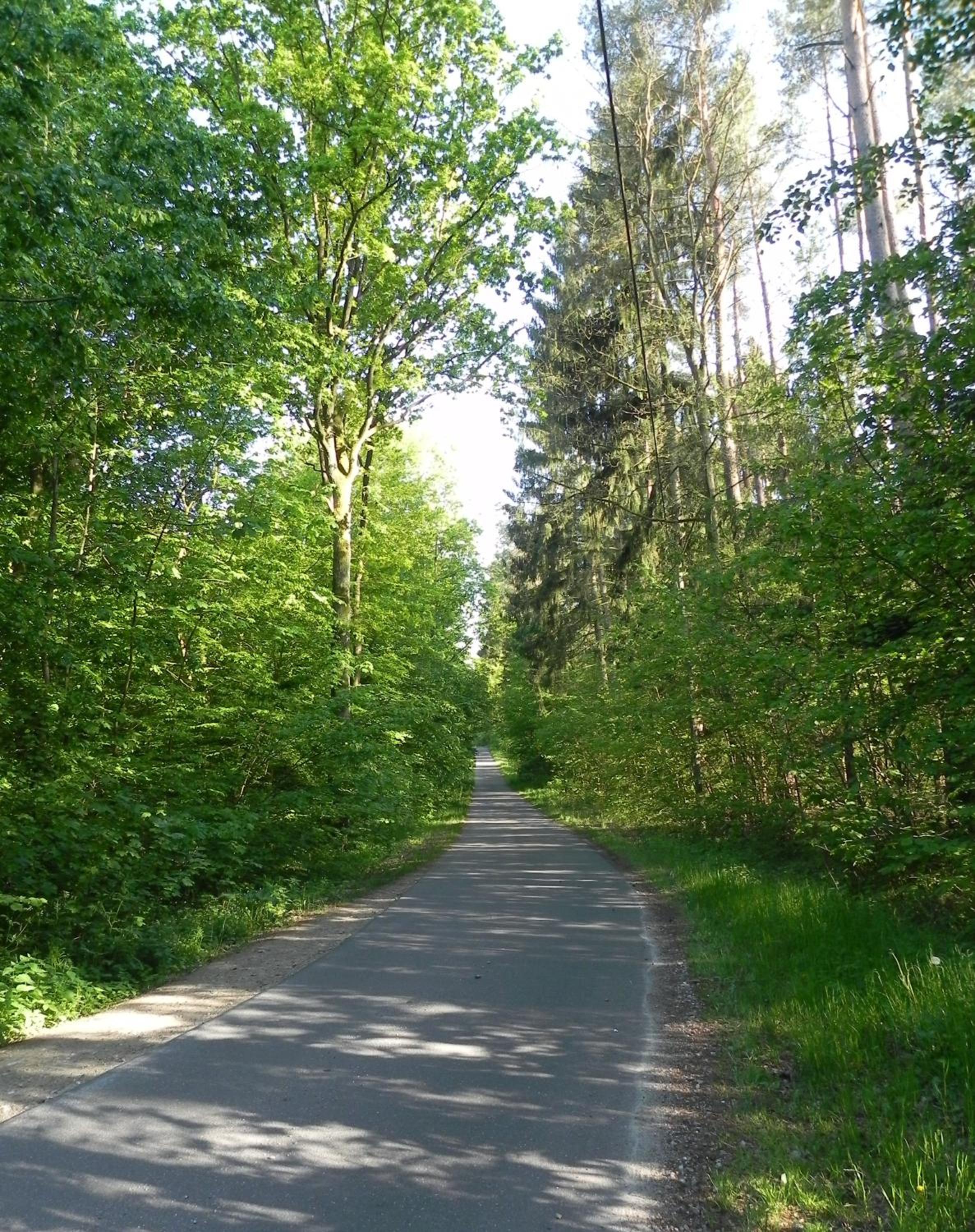 Ferienwohnungen am See