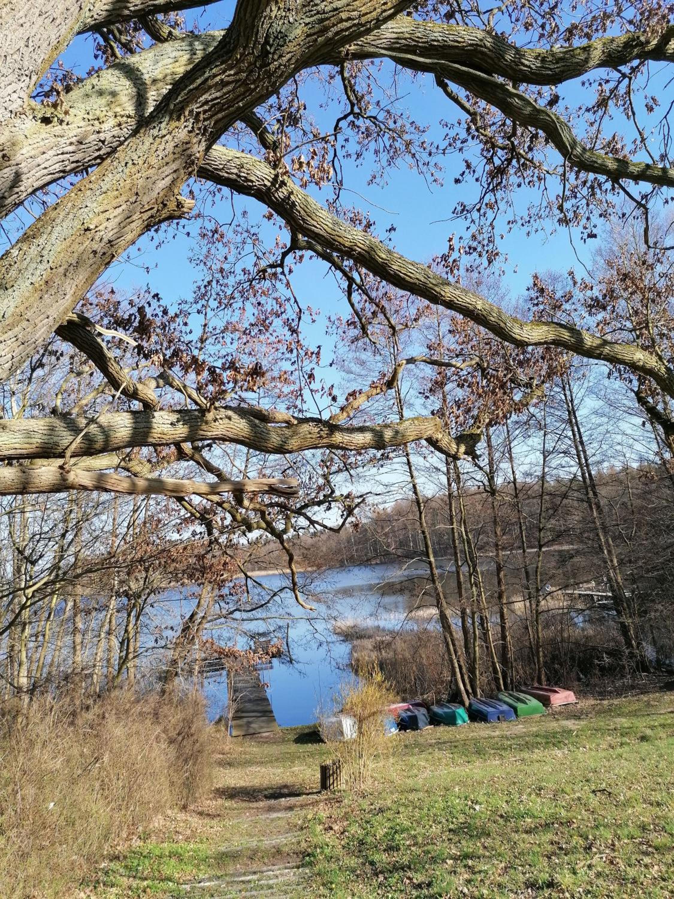 Ferienwohnungen am See