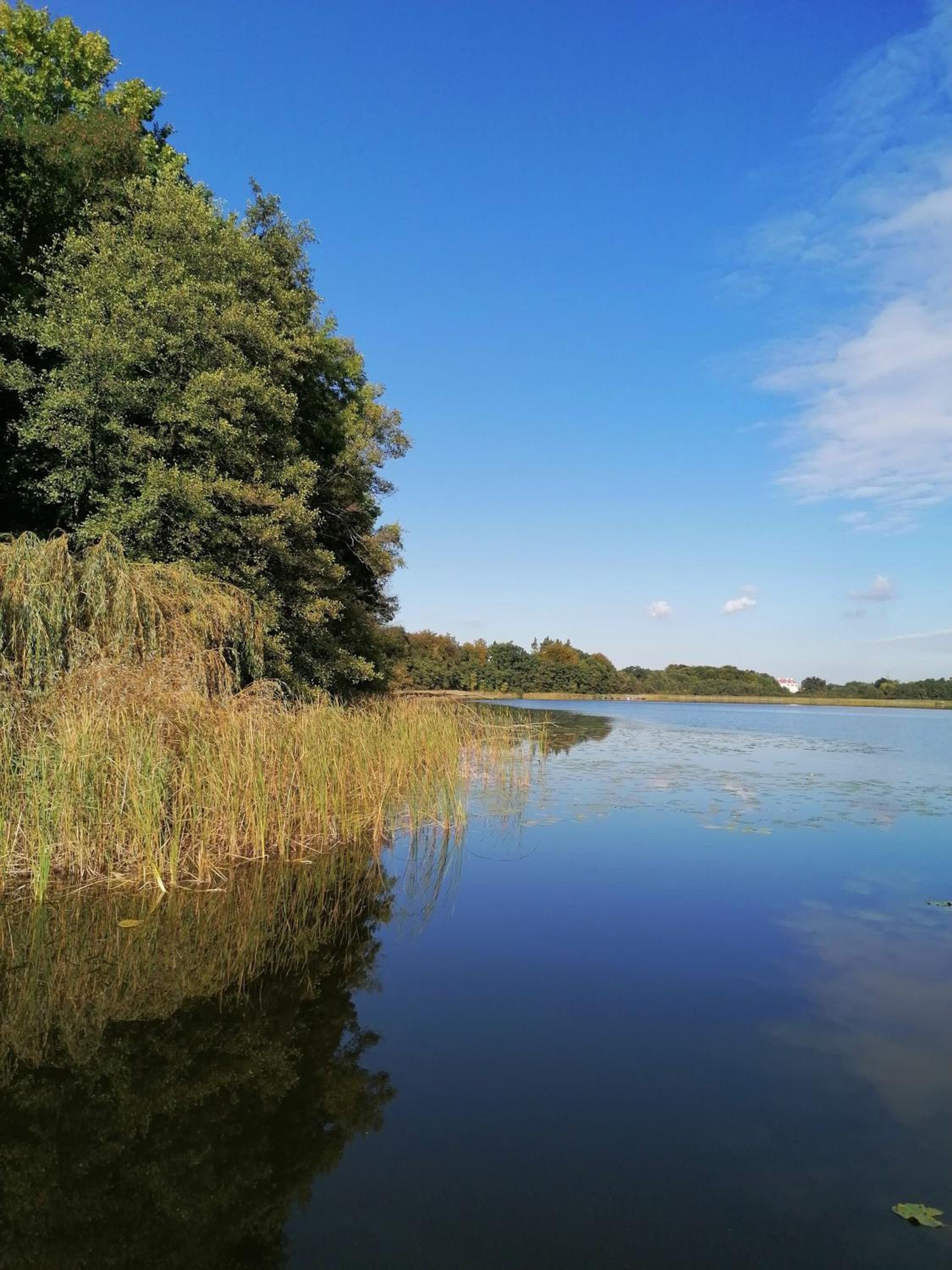Ferienwohnungen am See