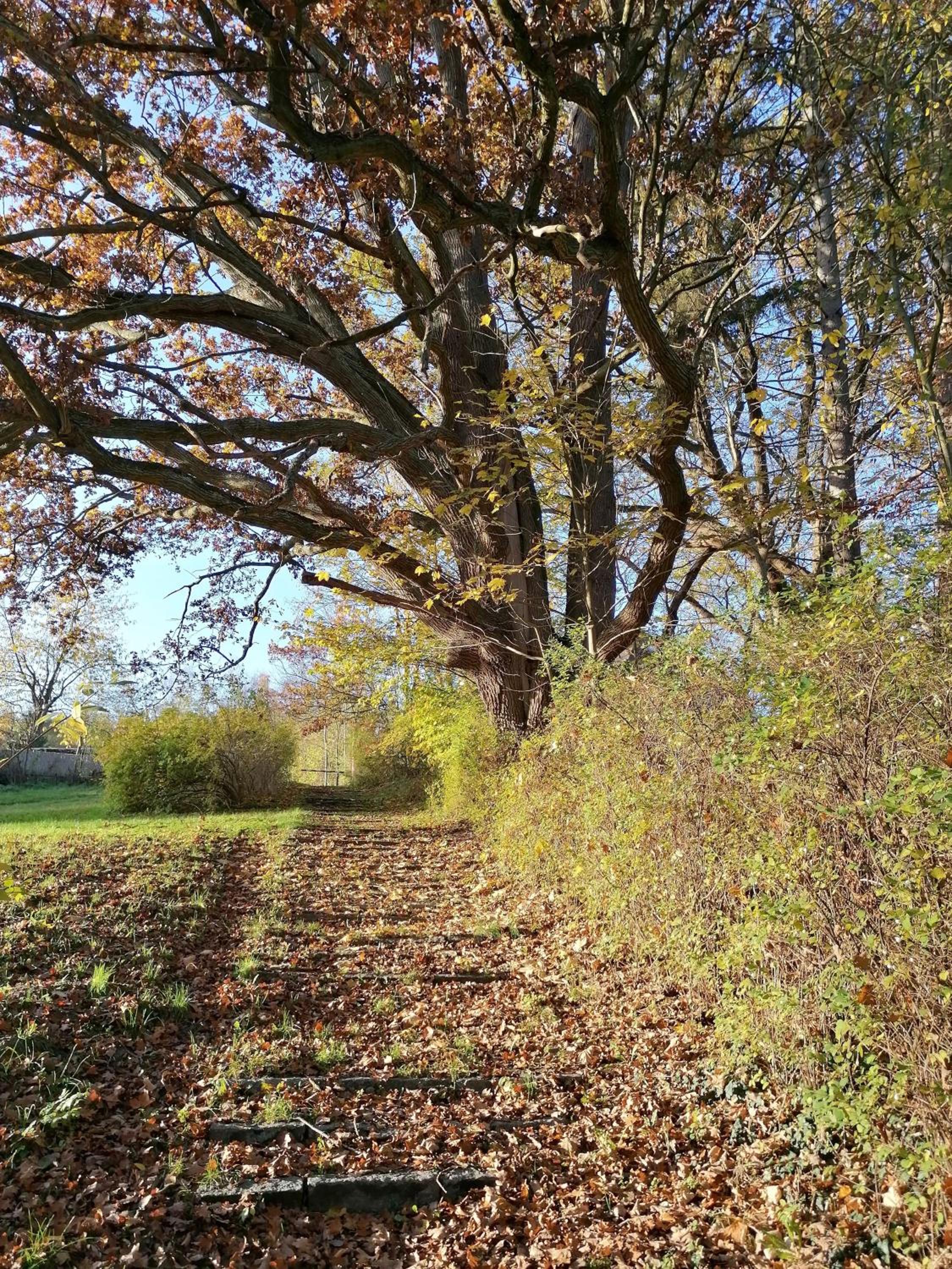 Ferienwohnungen am See