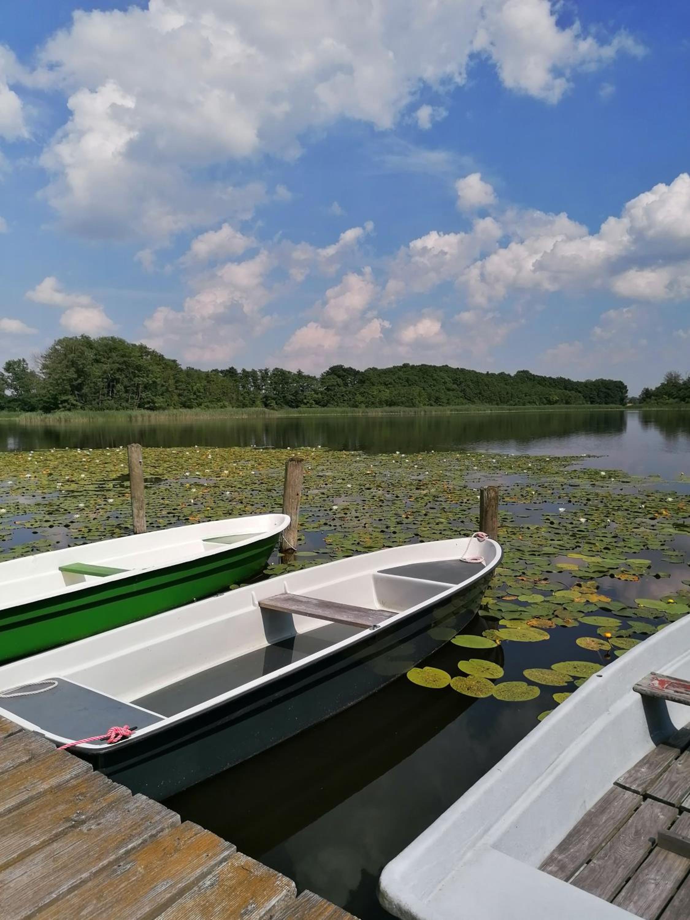 Ferienwohnungen am See