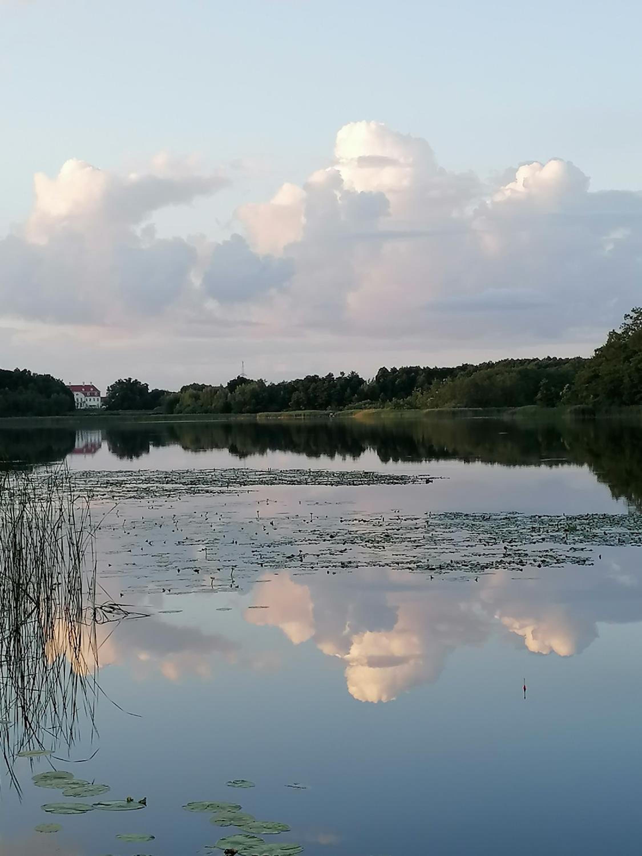 Ferienwohnungen am See
