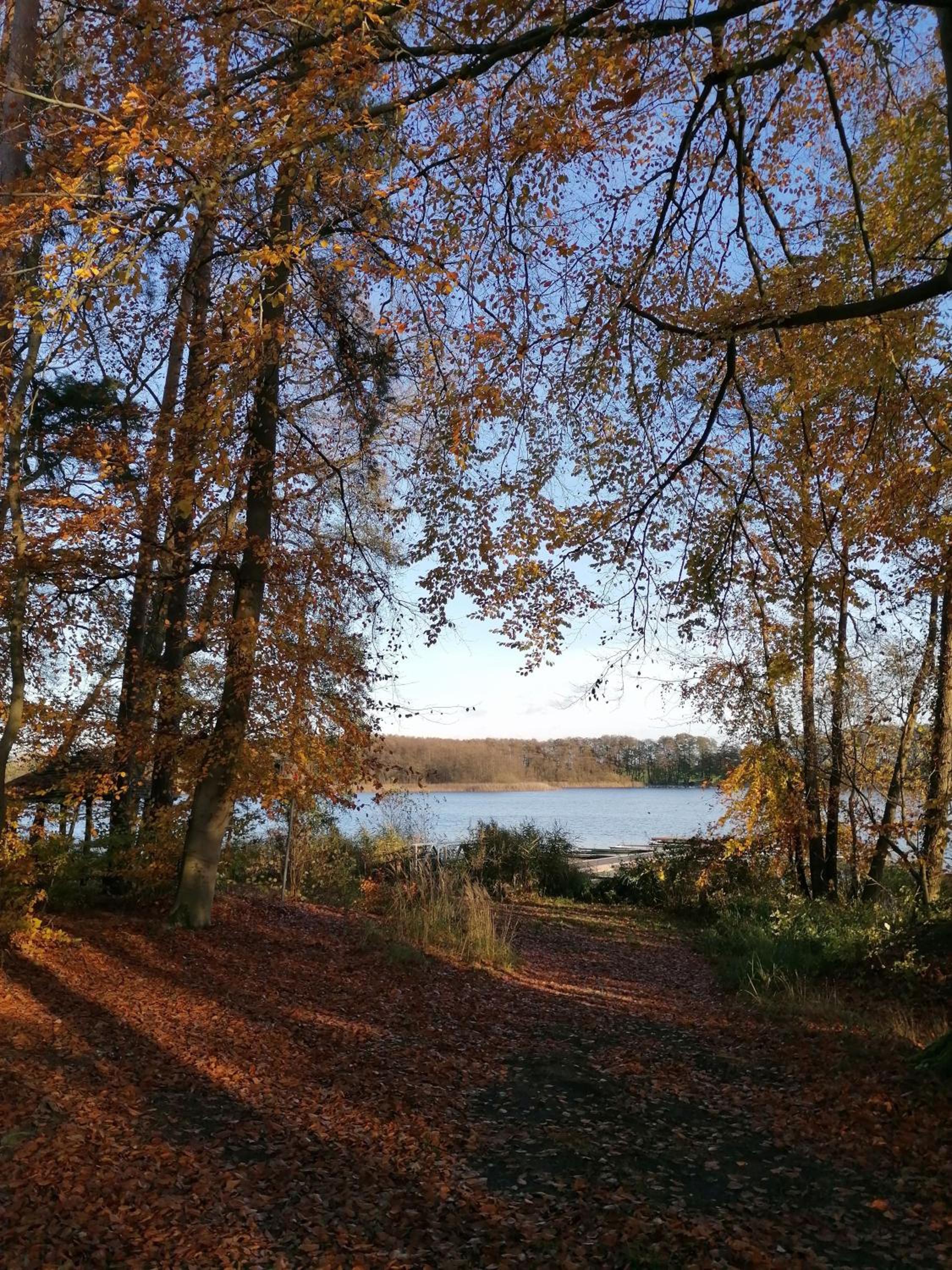 Ferienwohnungen am See