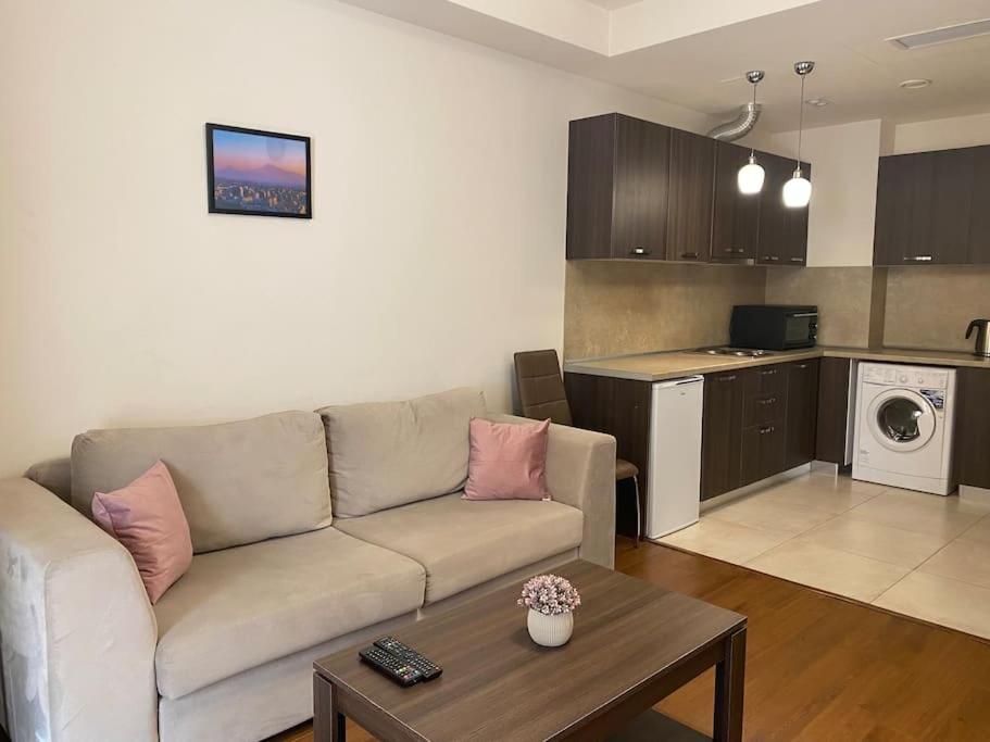 Spacious 1-Bedroom Apartment in the Center
