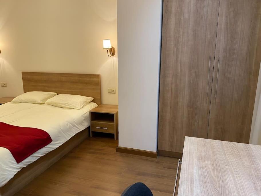 Spacious 1-Bedroom Apartment in the Center
