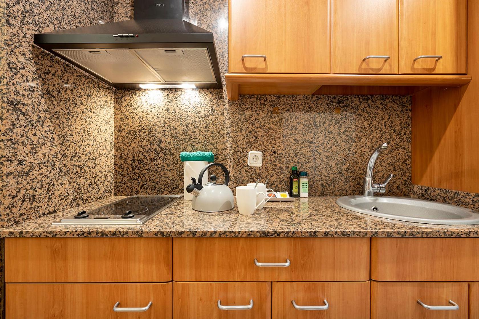 Apartments Sata Park Guell Area