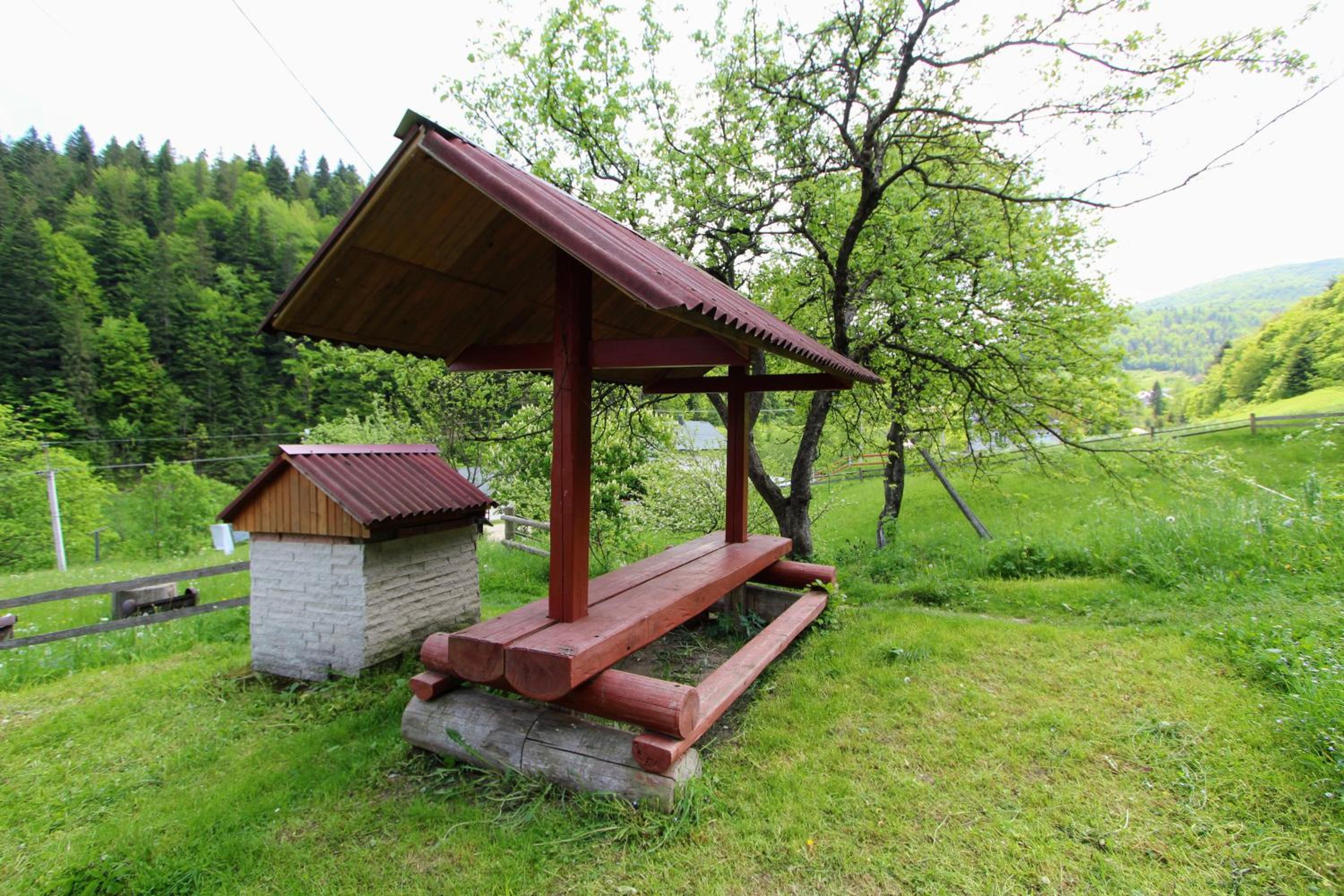 Photo 46
