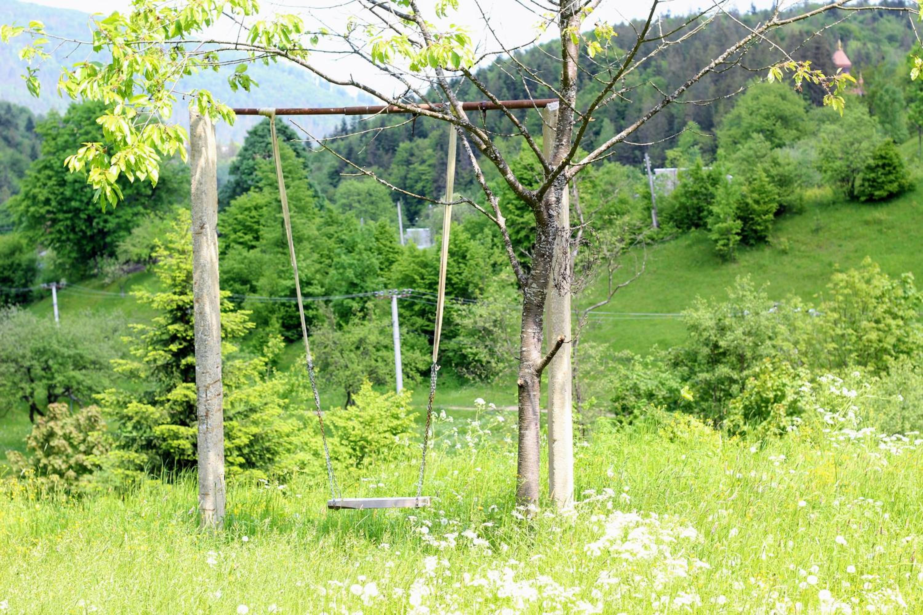 Photo 44