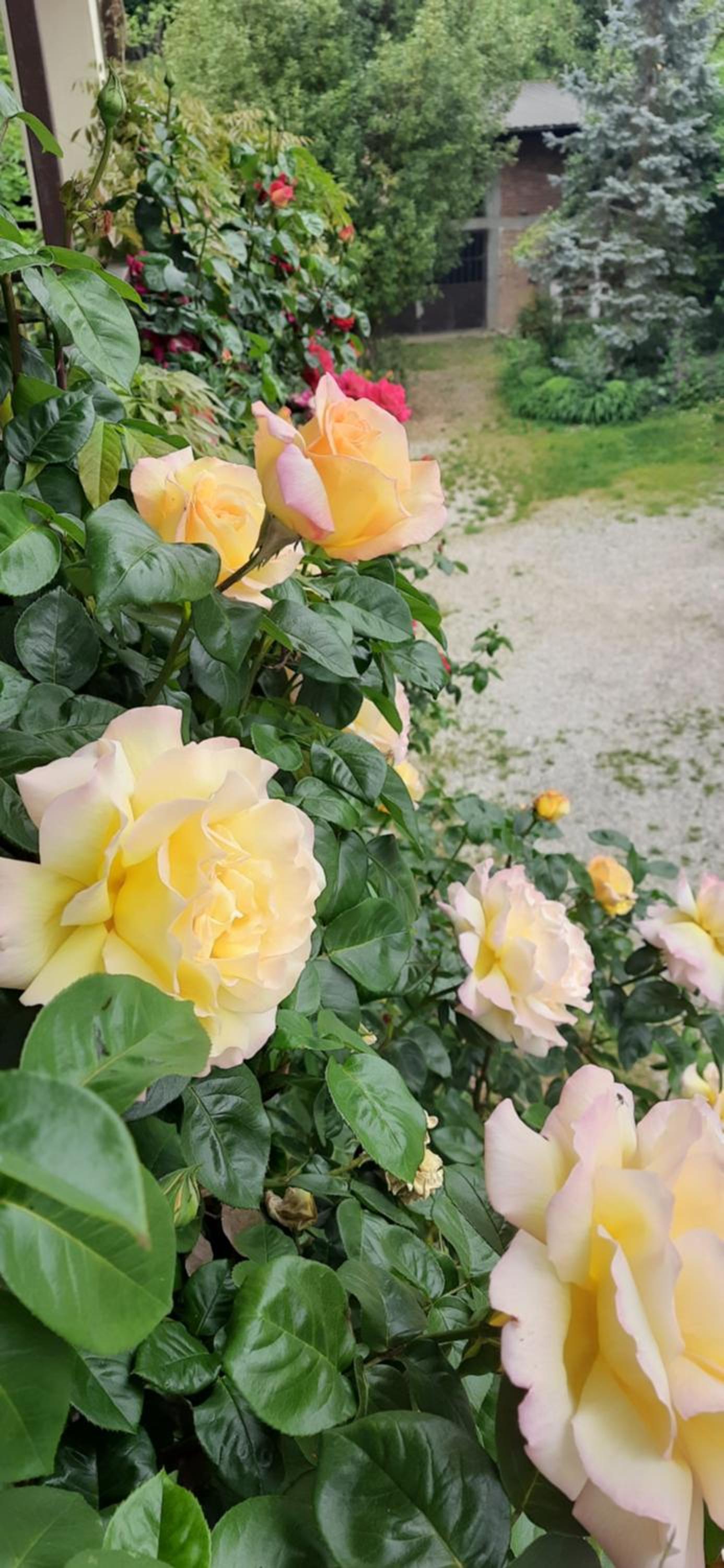 Photo 33