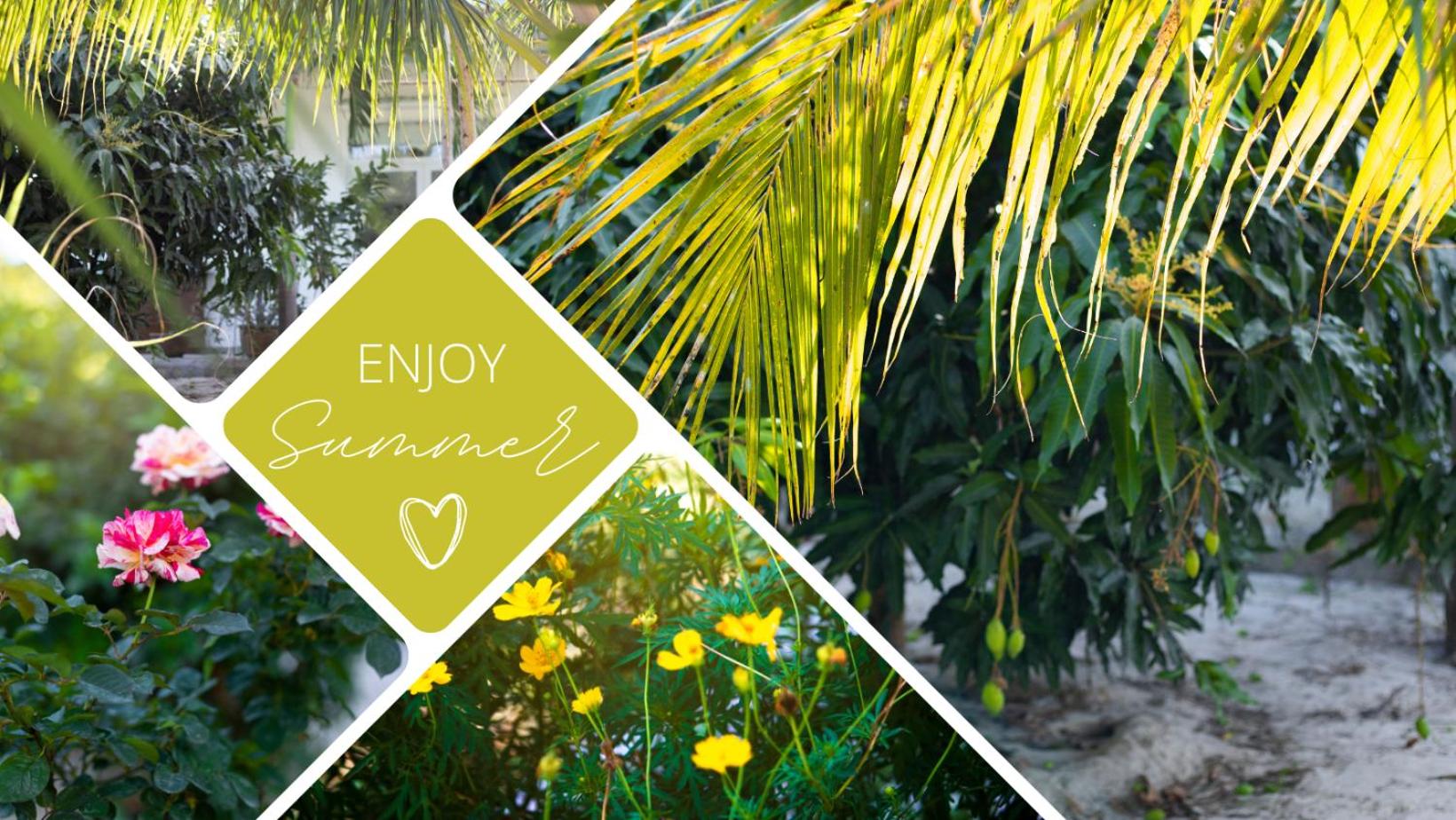 Ngôi nhà nhỏ Lagi Homestay