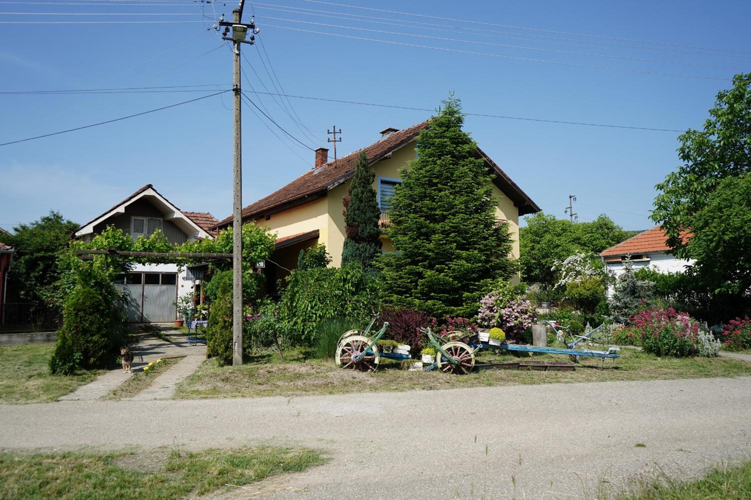 Etnobubi