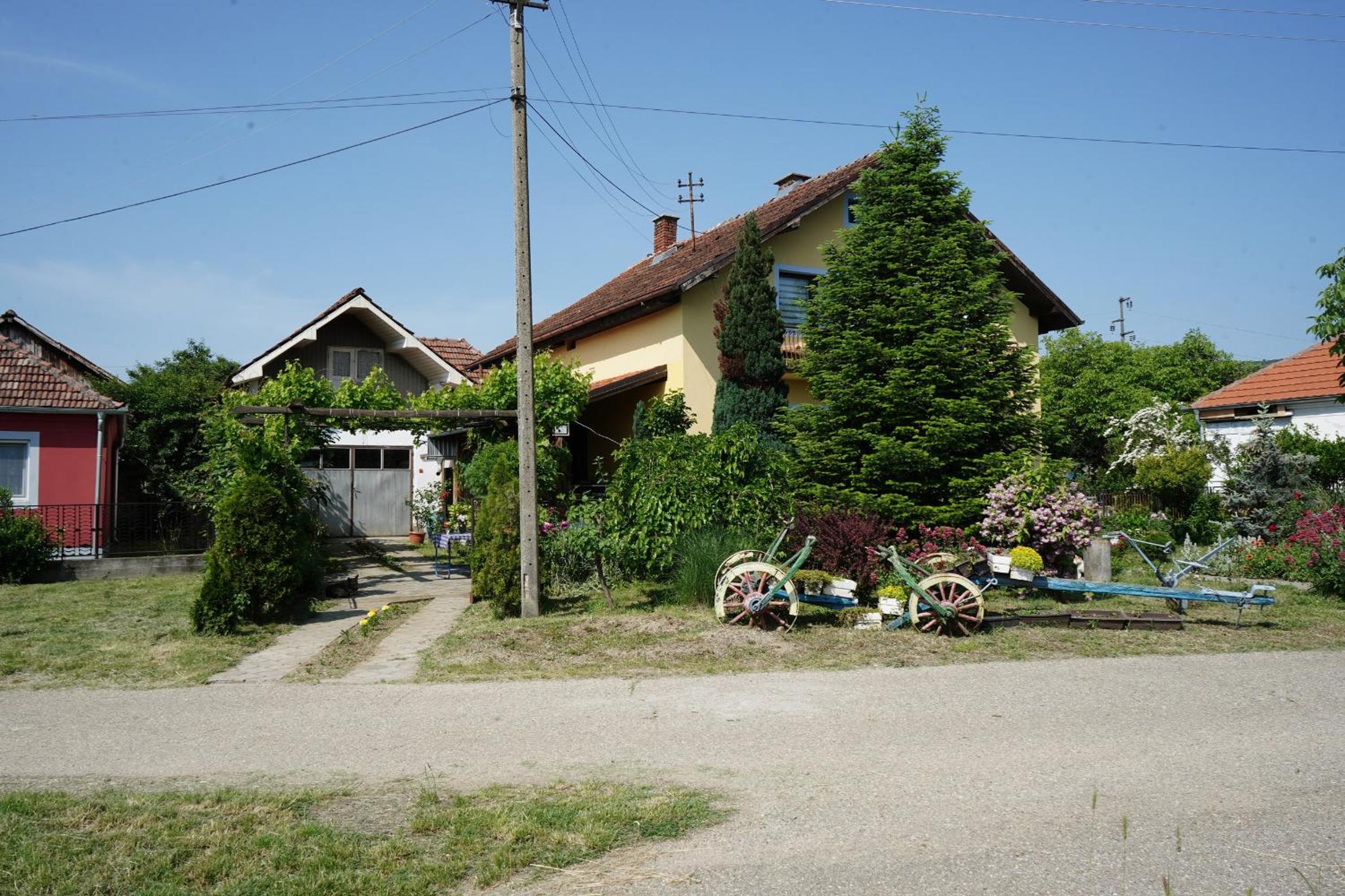 Etnobubi