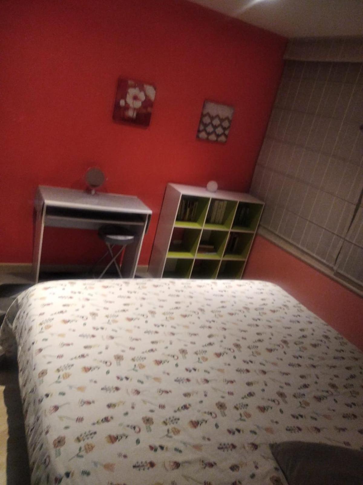 Modern and cozy apartment in Centro International view 5