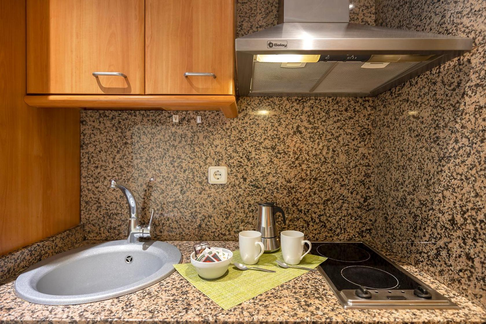 Apartments Sata Park Guell Area