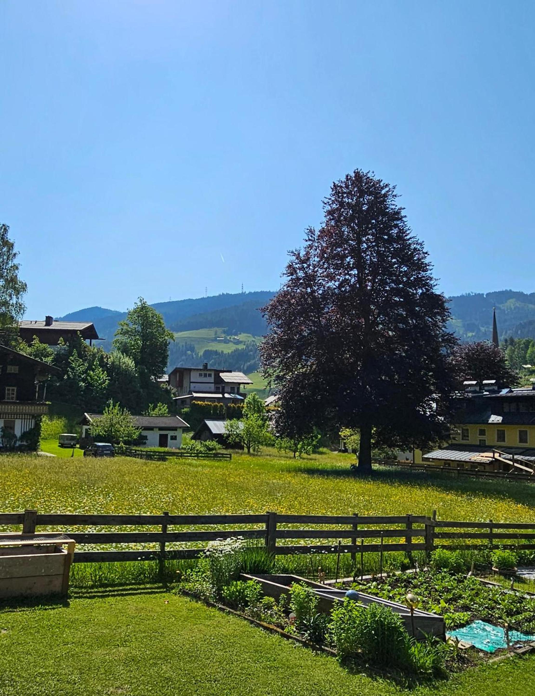 Haus Meikl