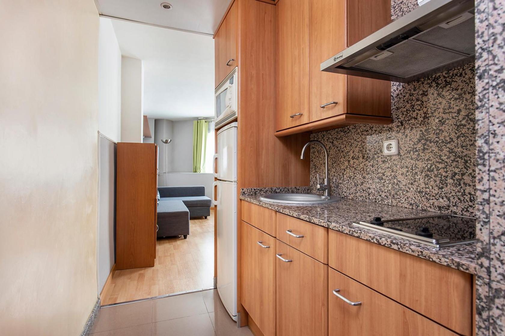 Apartments Sata Park Guell Area