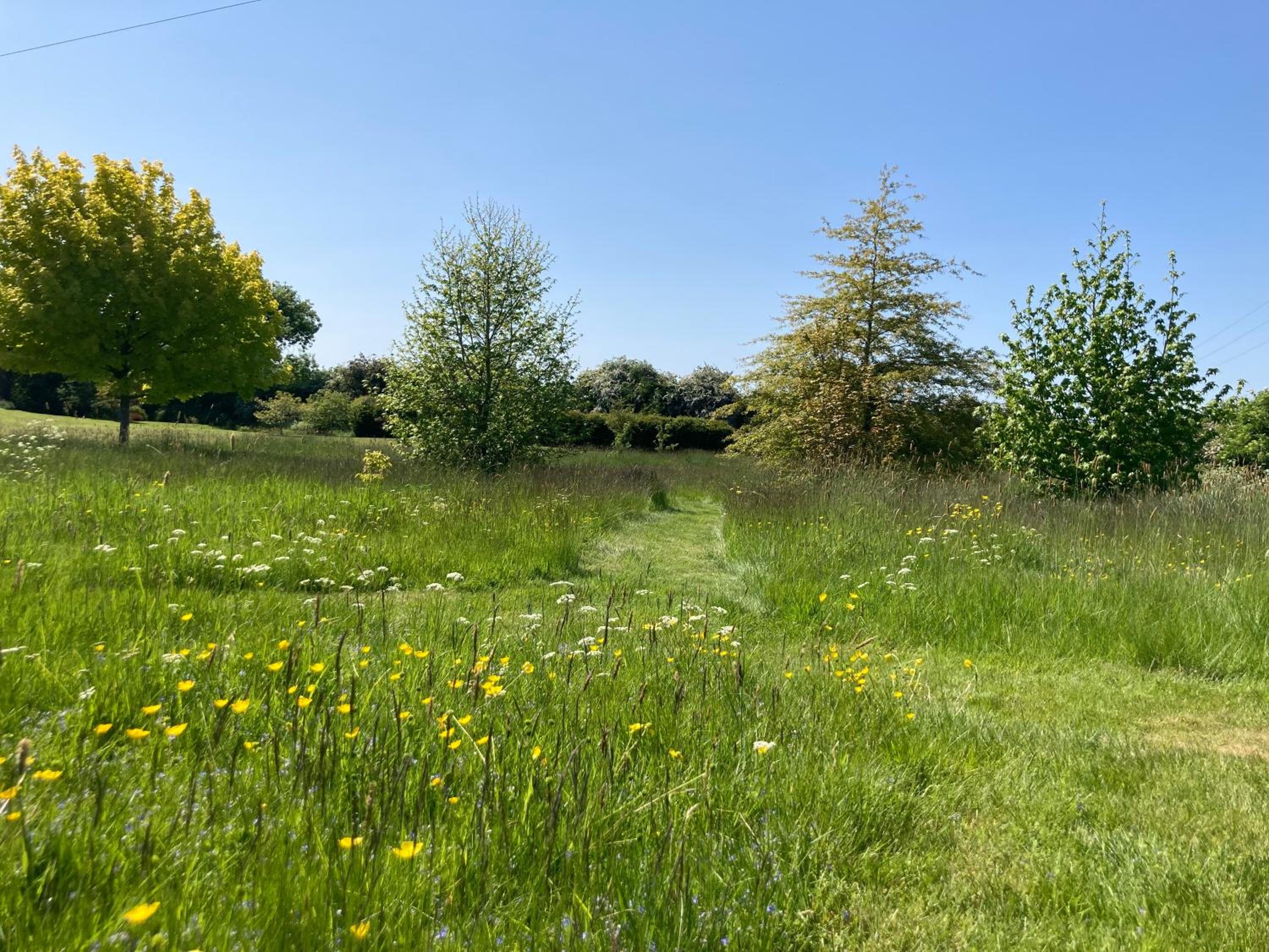 Eydon B&B view 5