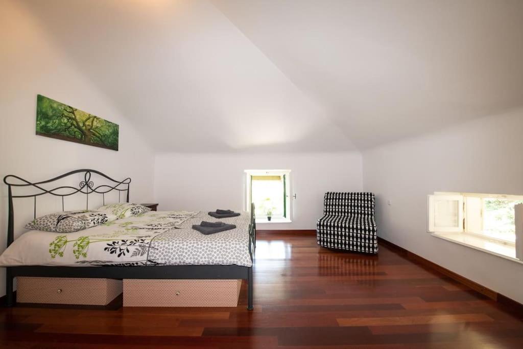 Villa Mascagni Modern Seaview Appartment