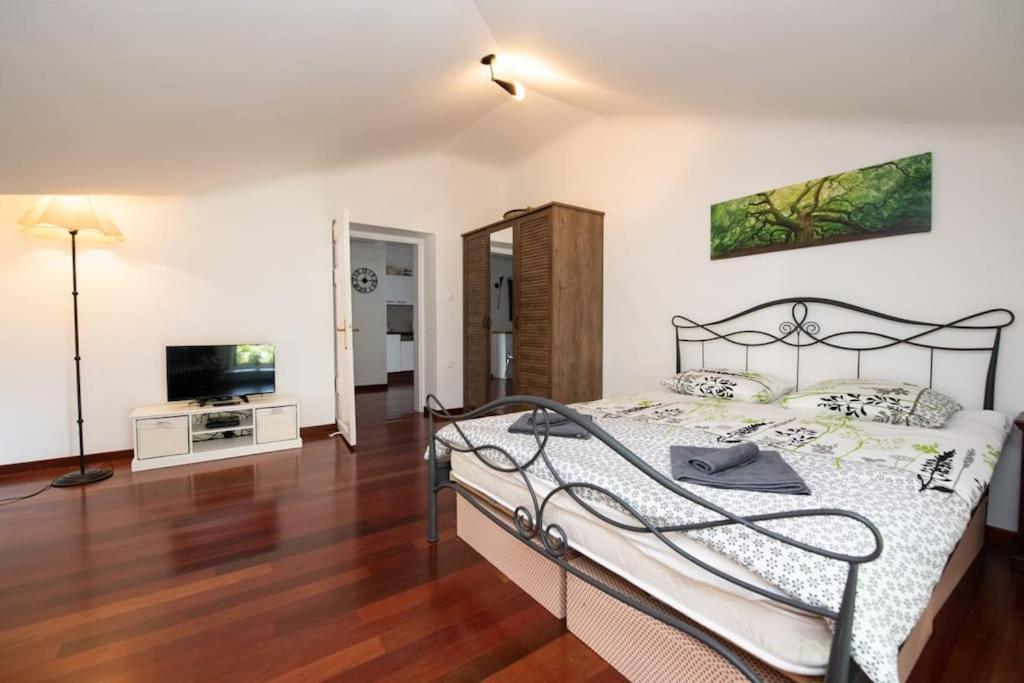 Villa Mascagni Modern Seaview Appartment