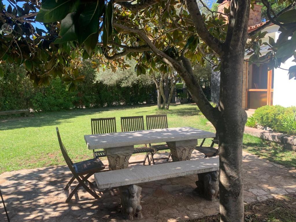 Casa exclusiva, jardín y piscina privada