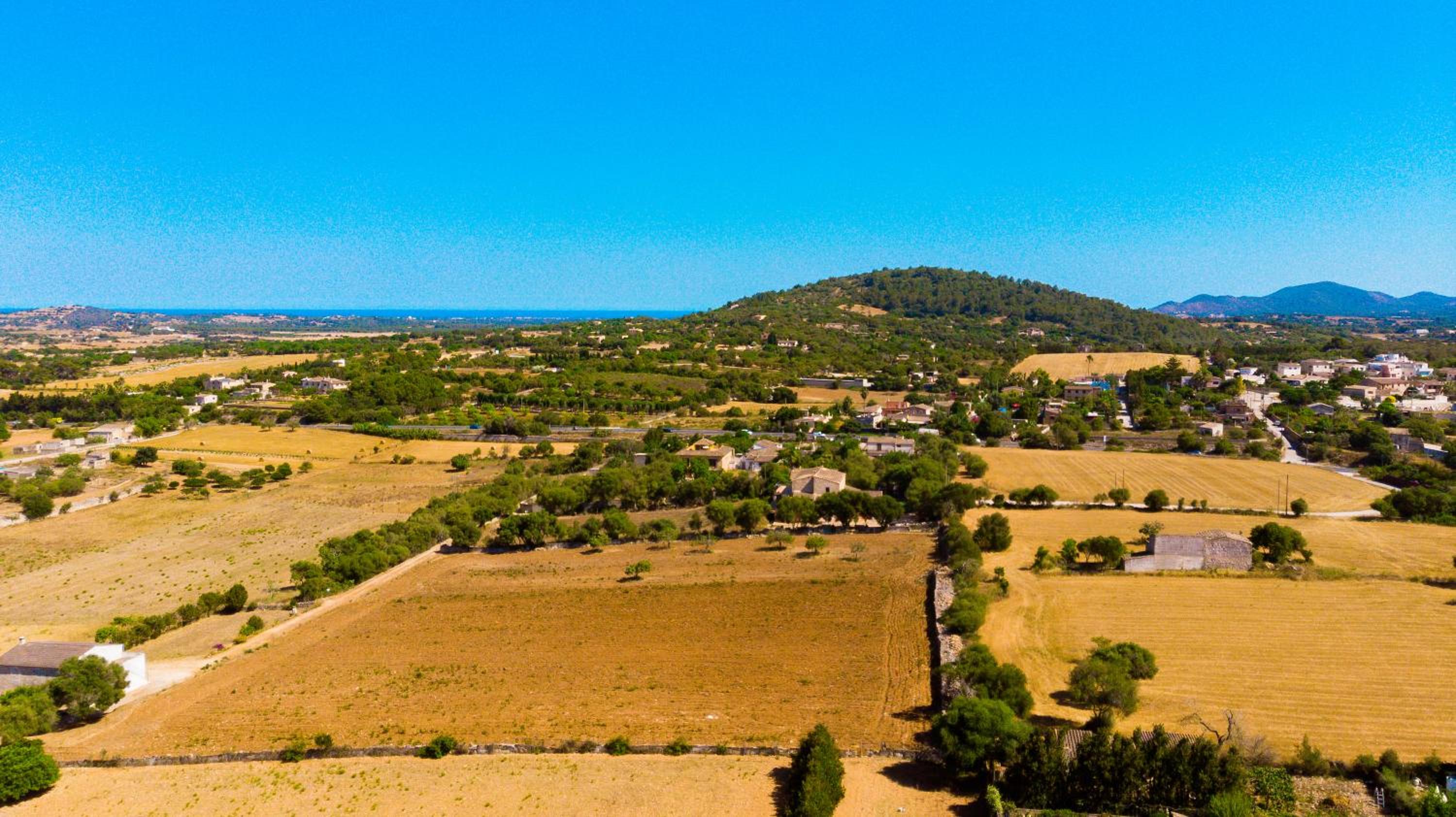 VILLA Son Frau, photo 10