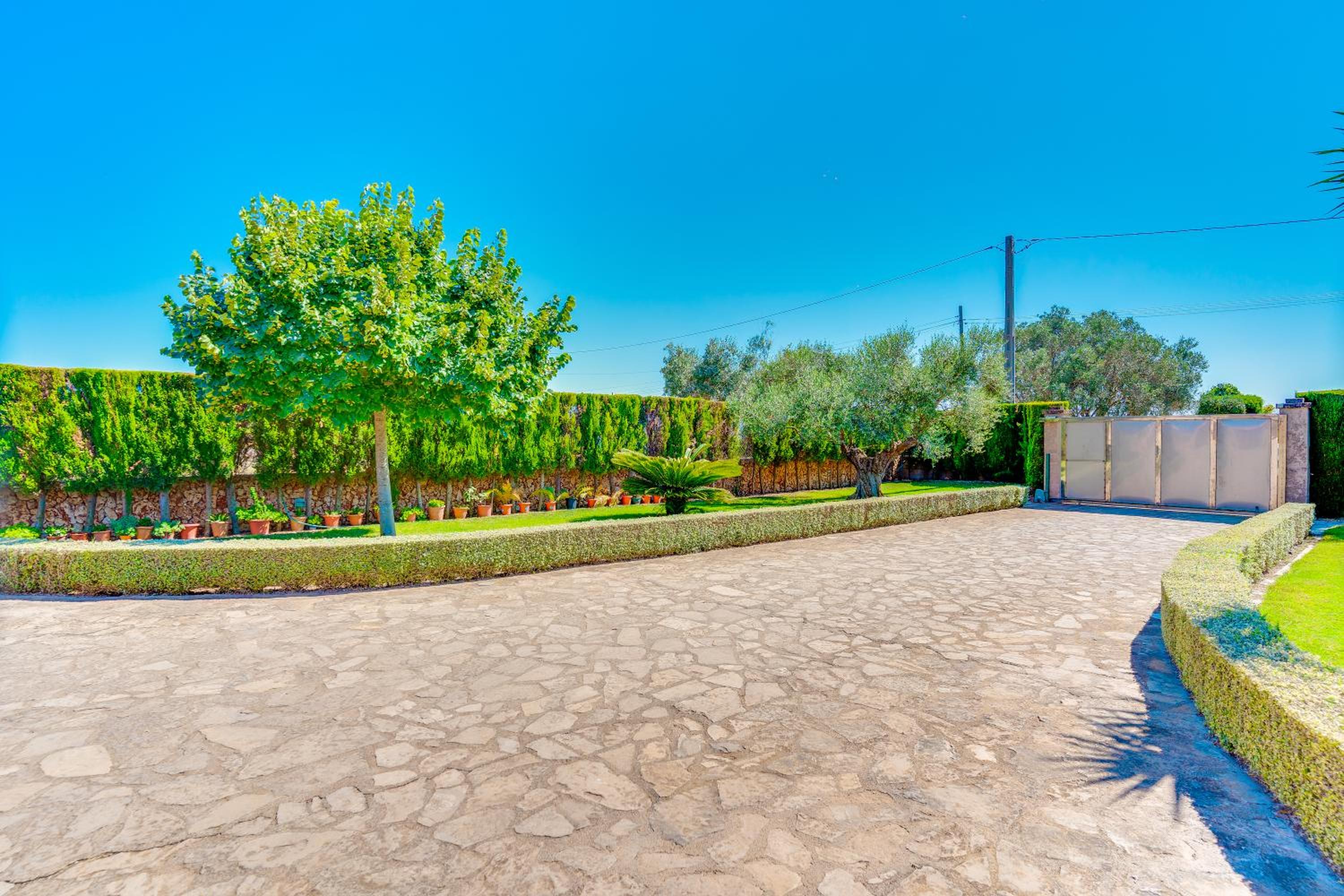 VILLA Son Frau, photo 26