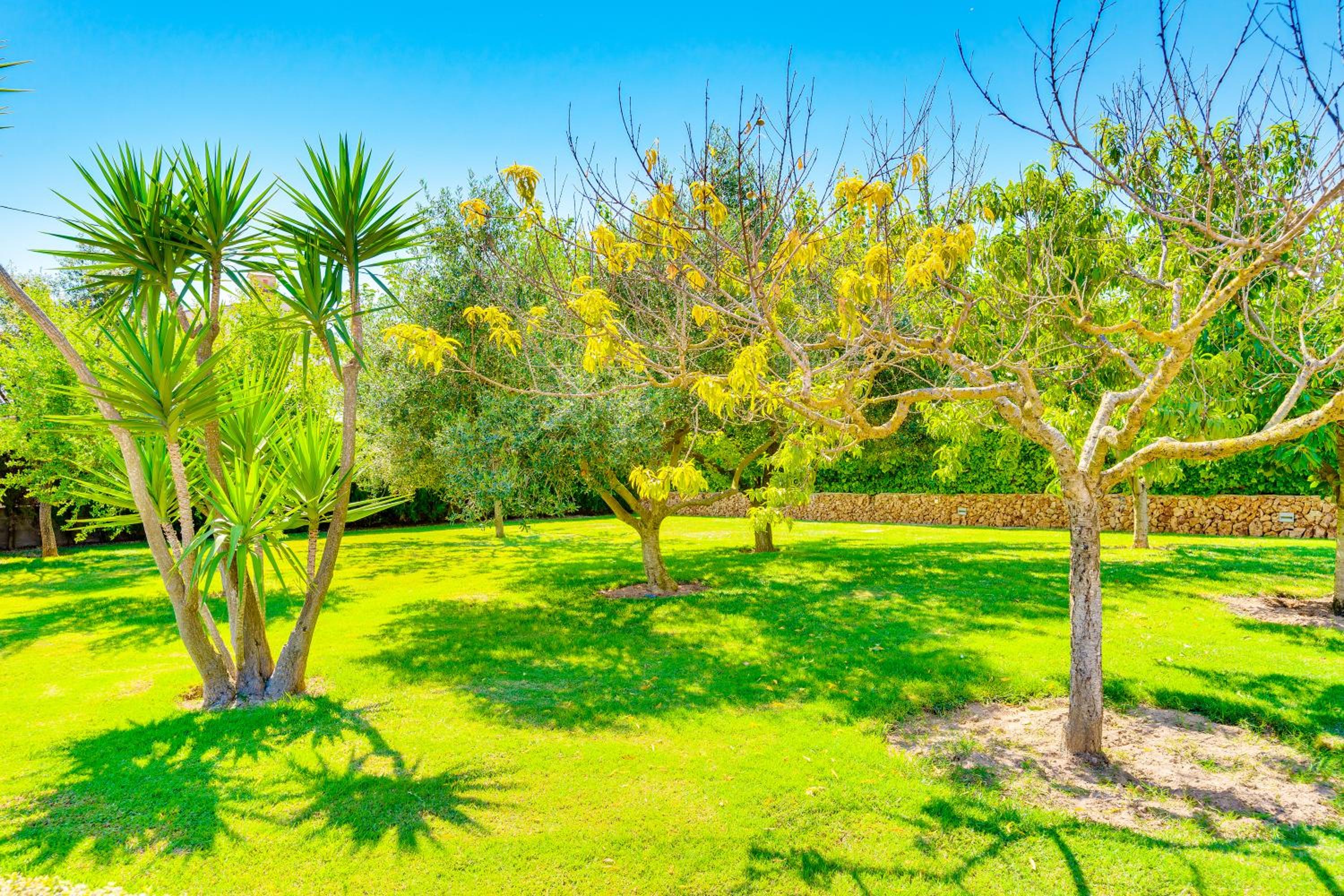 VILLA Son Frau, photo 9