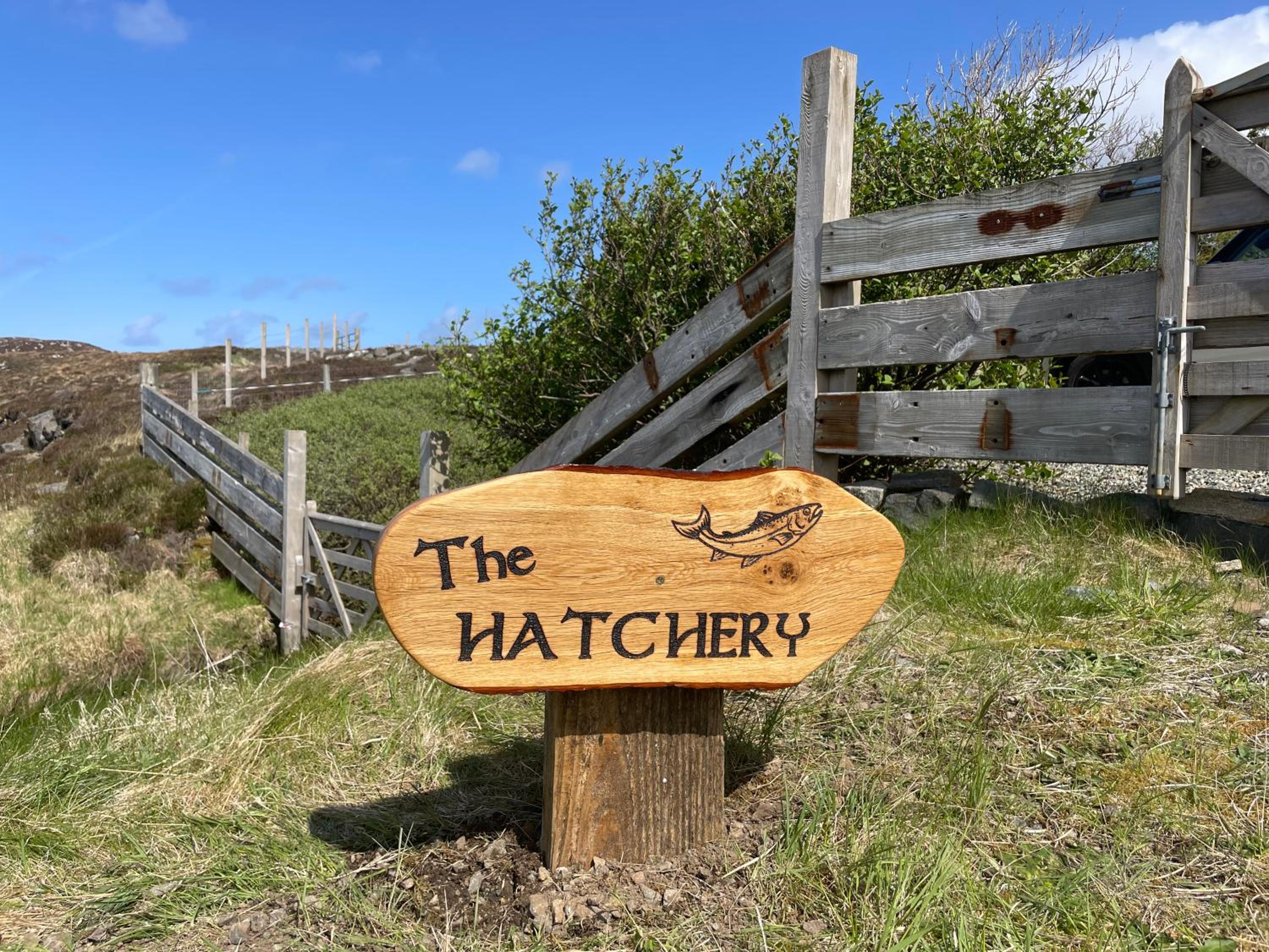 The Hatchery view 3