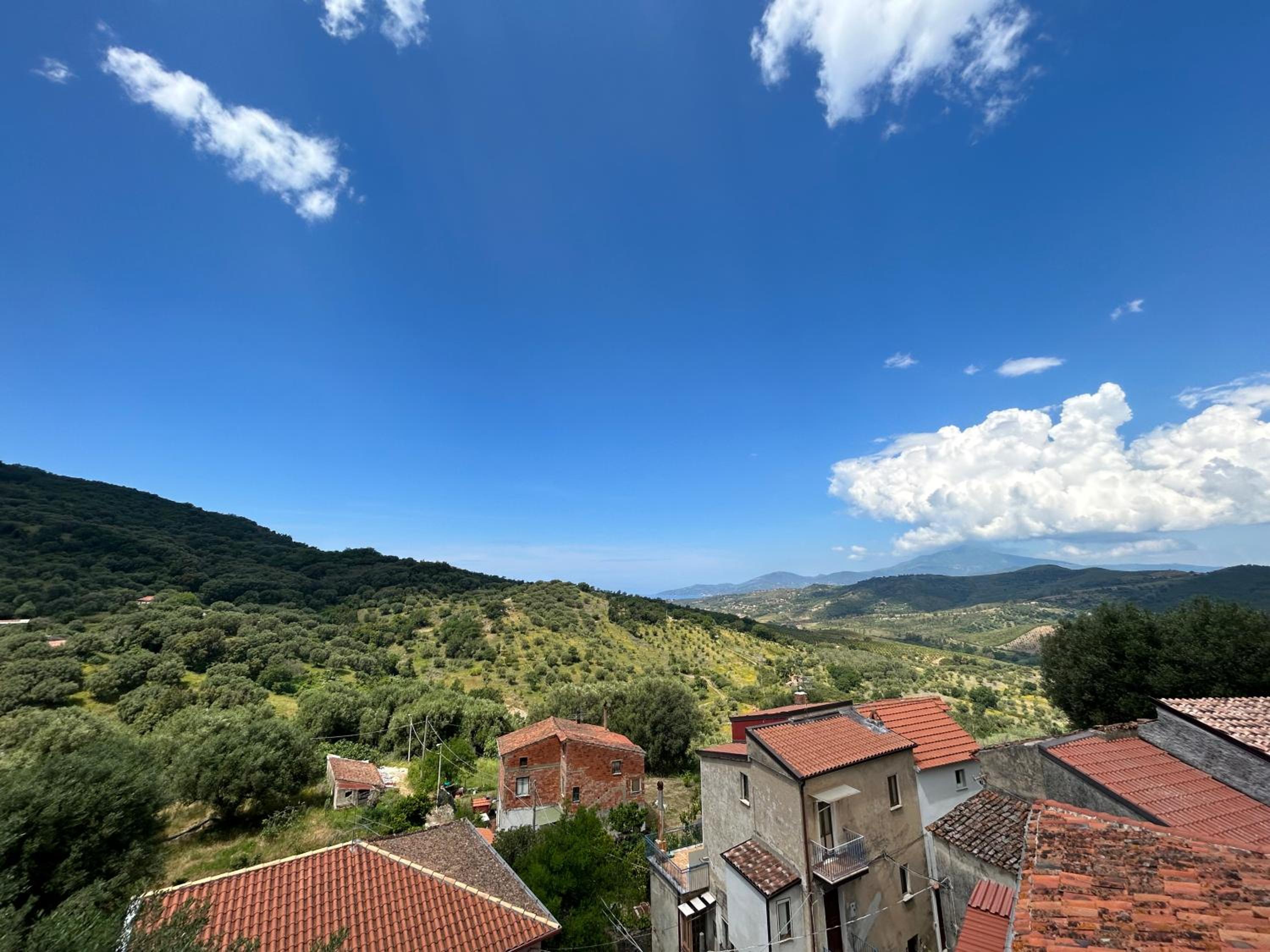 Corte degli Ulivi view 4