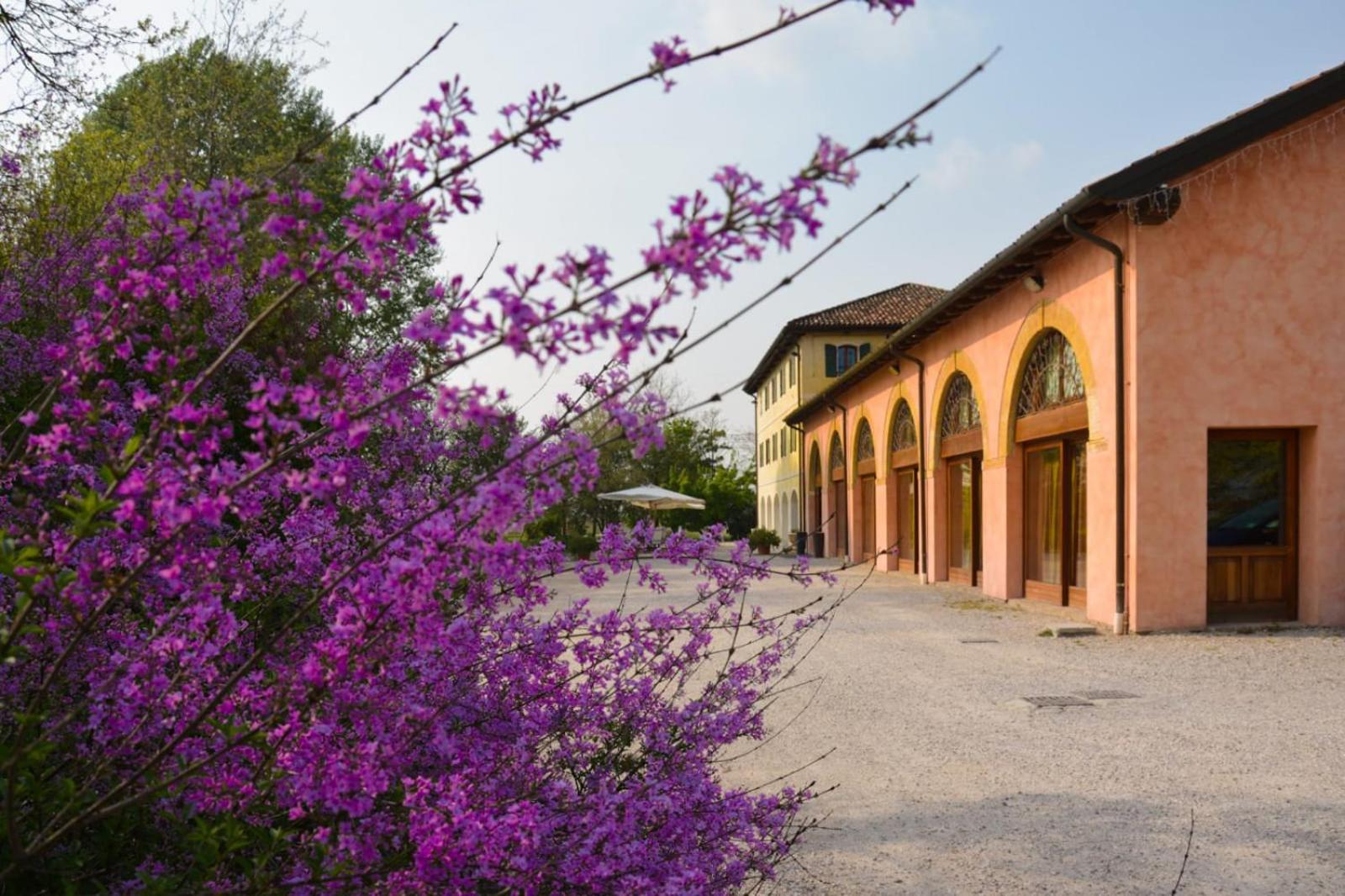 Agriturismo Rechsteiner view 3