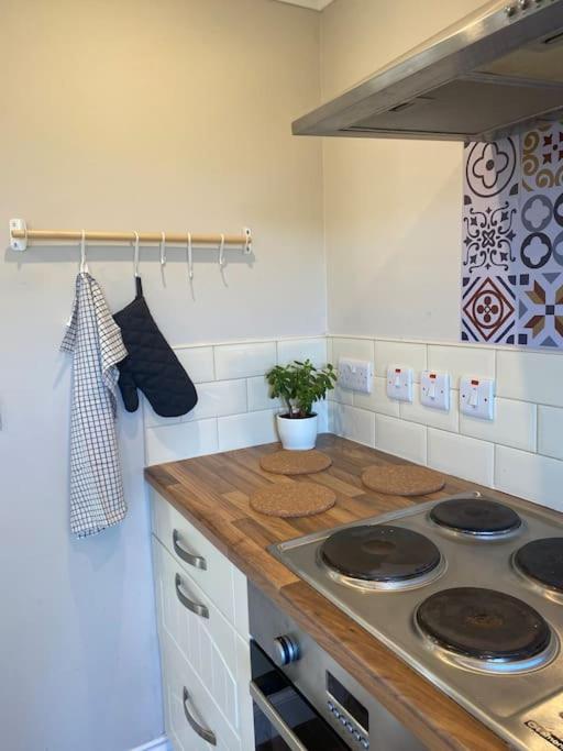 Beautiful Country Cottage, Moffat - Hot Tub available for small extra fee view 5