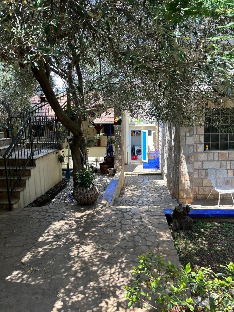 Villa Flamingo