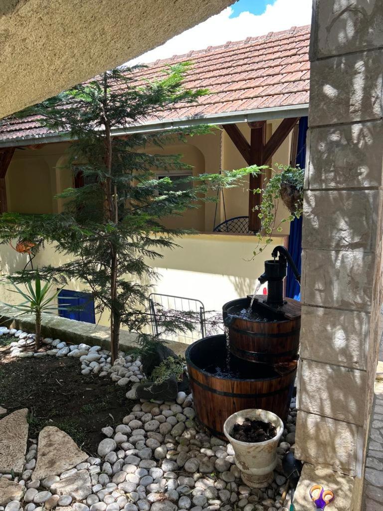 Villa Flamingo