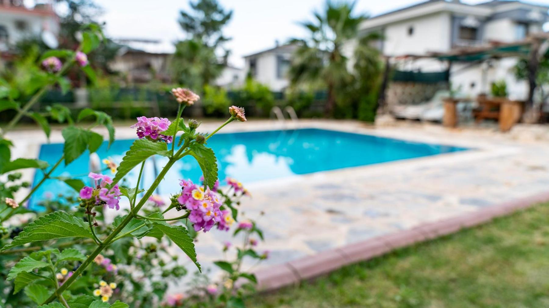 Spacious Villa with Sea and Mountain View - Image 17