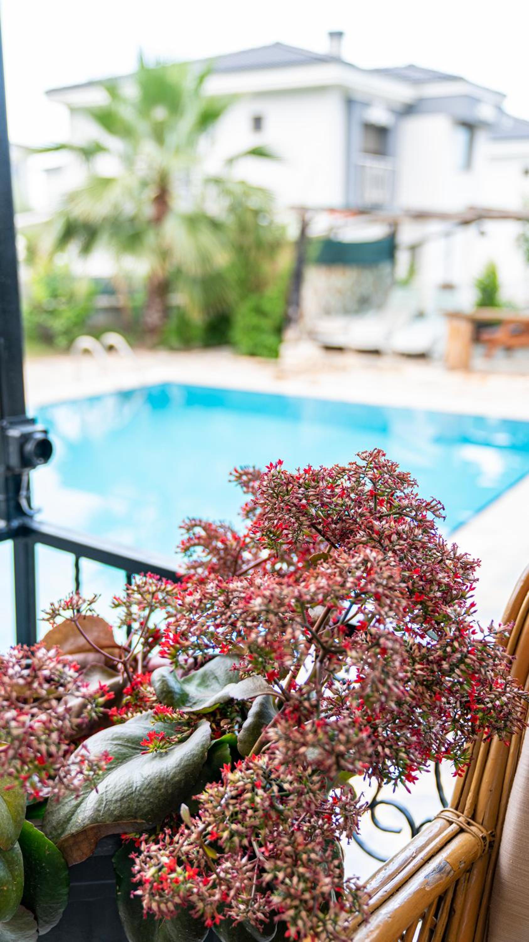 Spacious Villa with Sea and Mountain View - Image 22