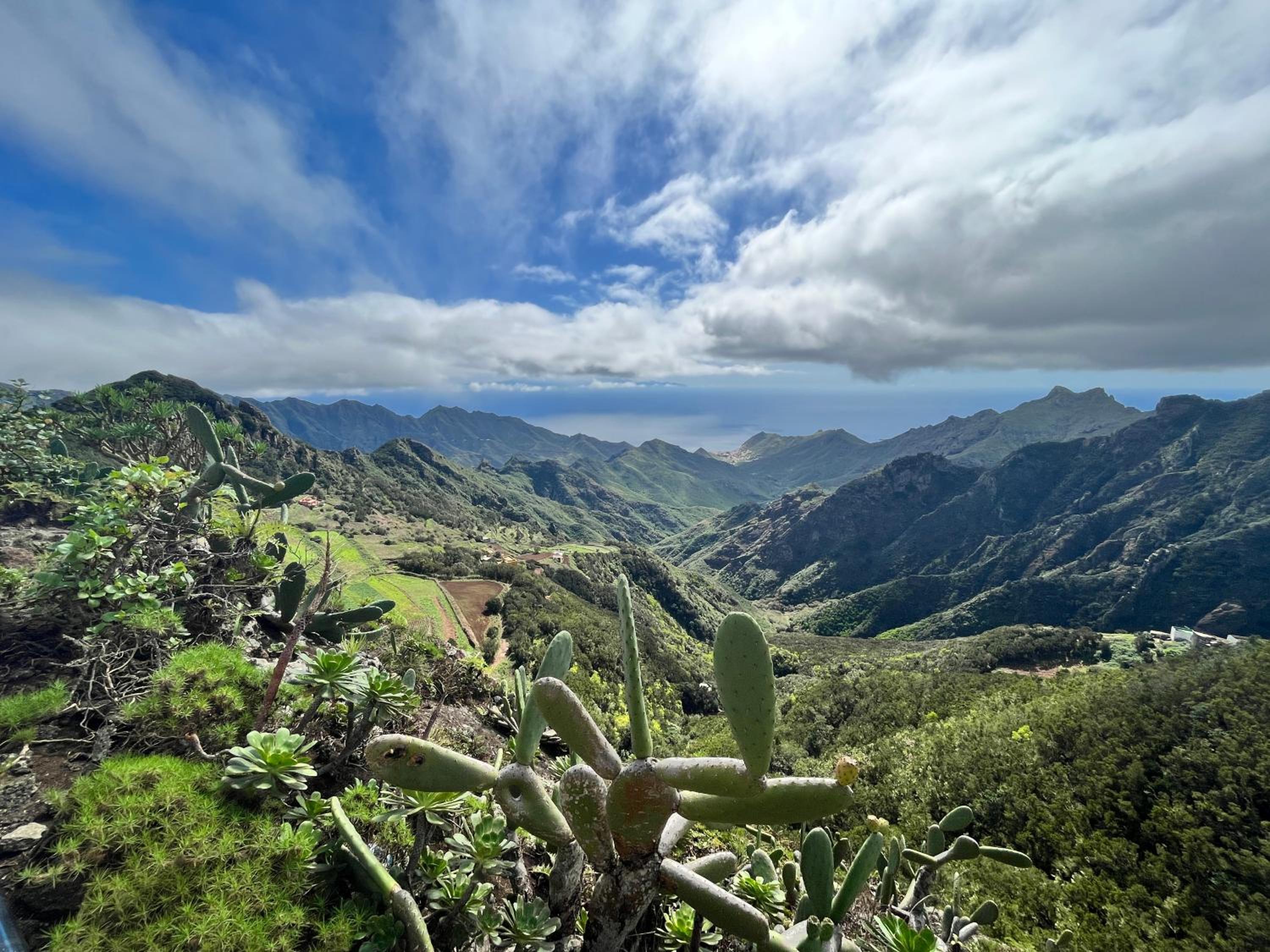Apartamento Los Picachos, Poris de Abona