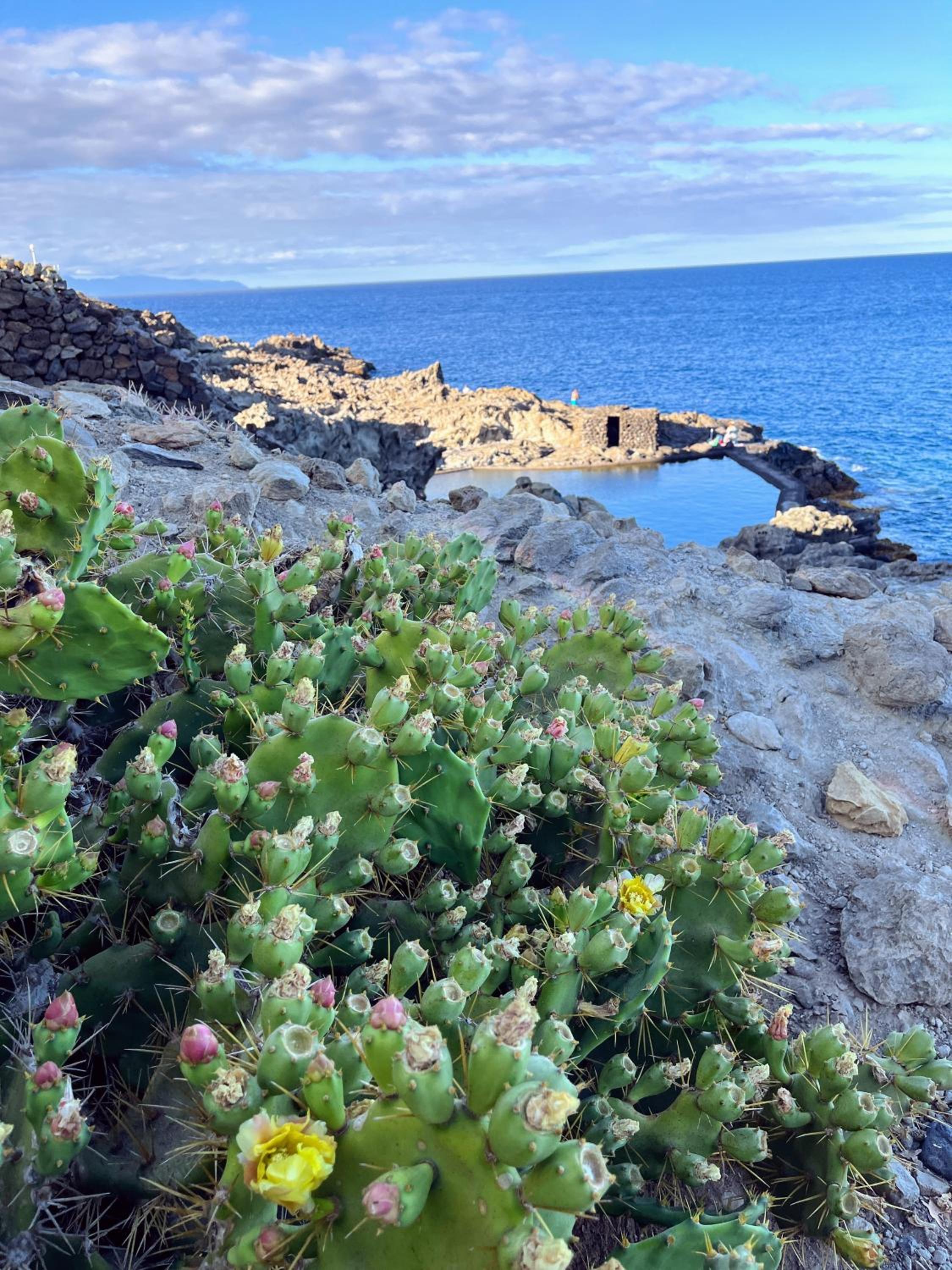 Apartamento Los Picachos, Poris de Abona