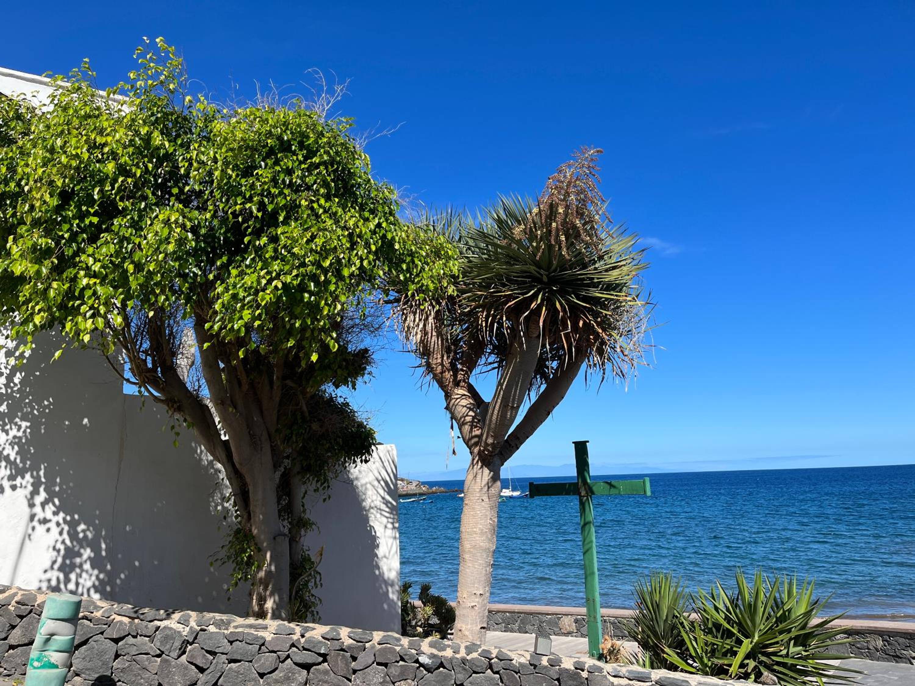 Apartamento Los Picachos, Poris de Abona