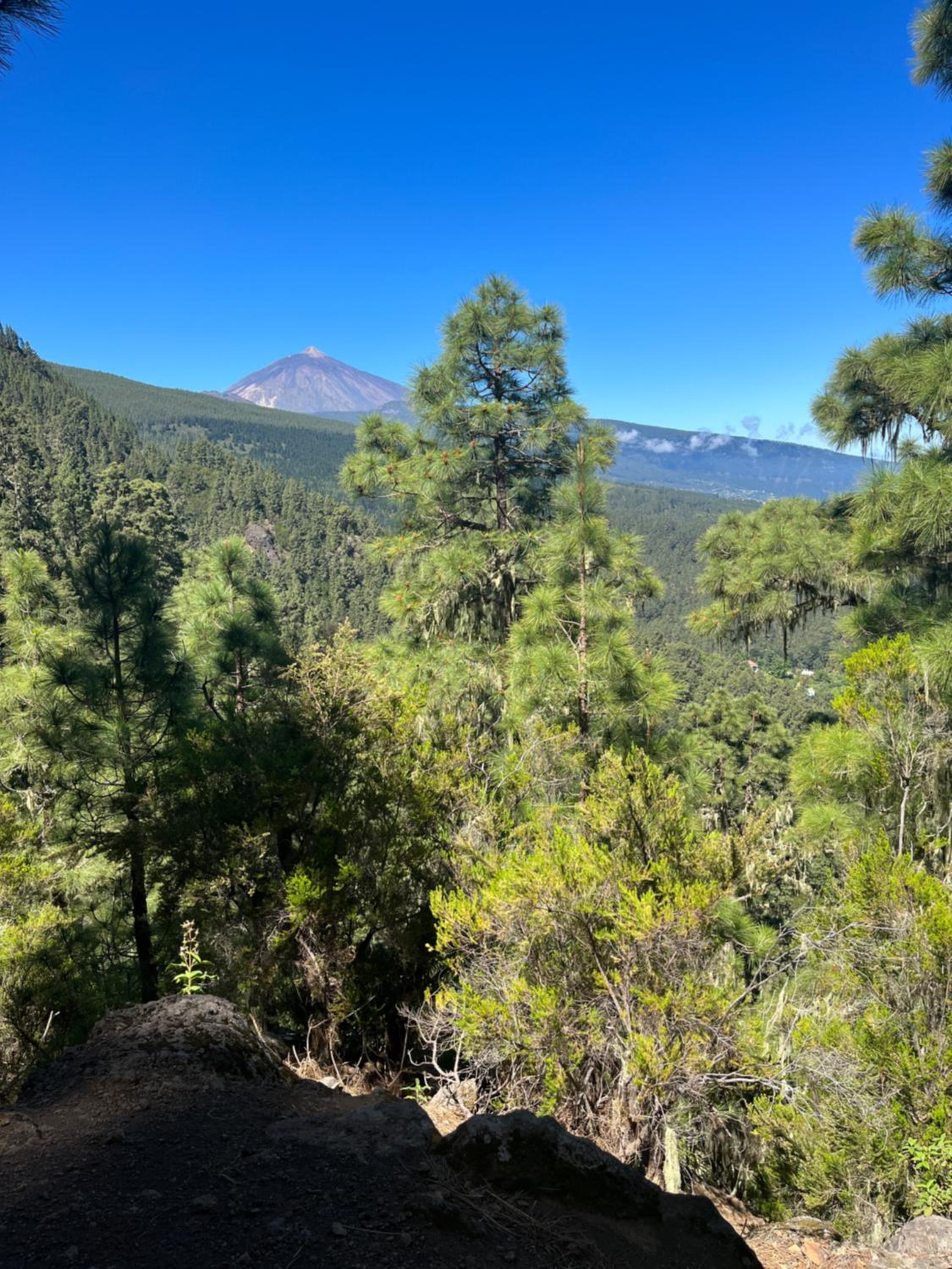 Apartamento Los Picachos, Poris de Abona
