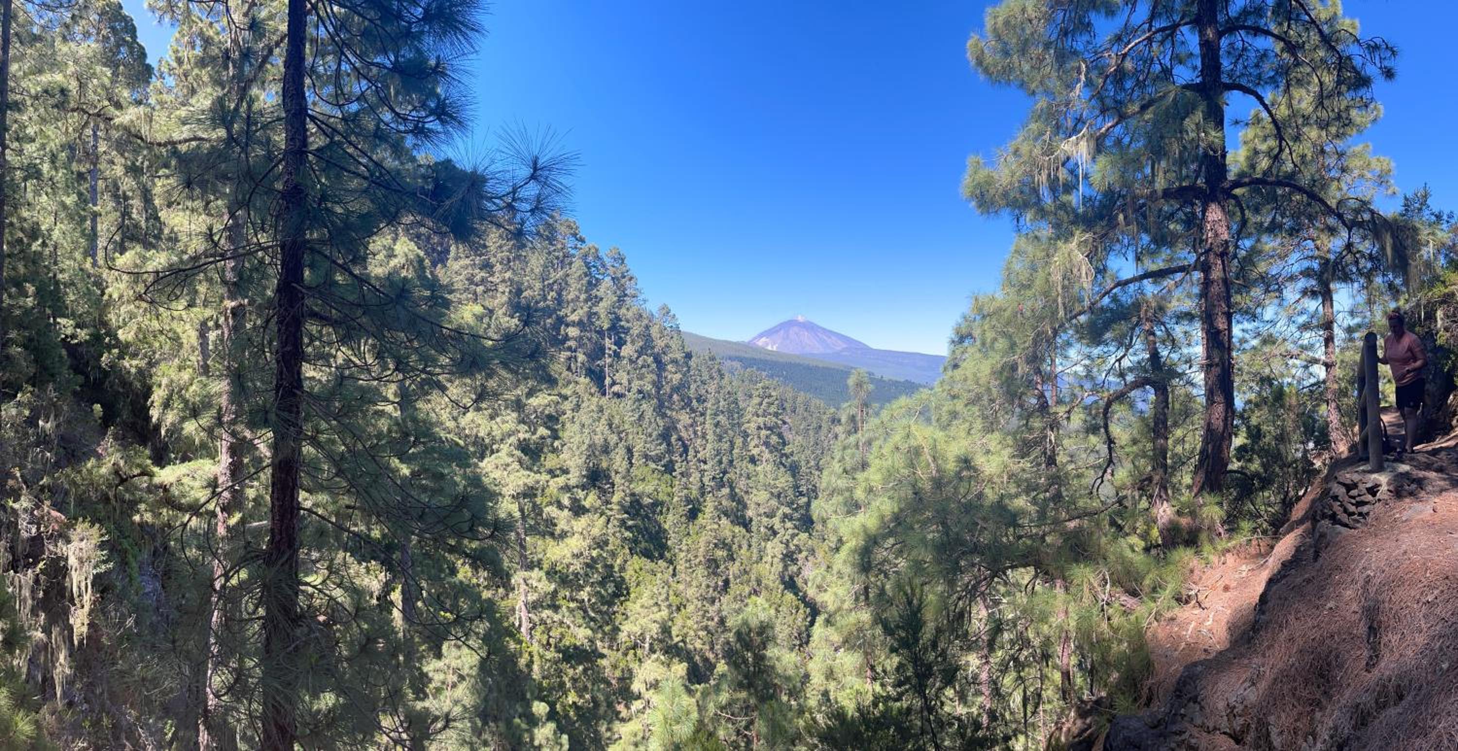 Apartamento Los Picachos, Poris de Abona