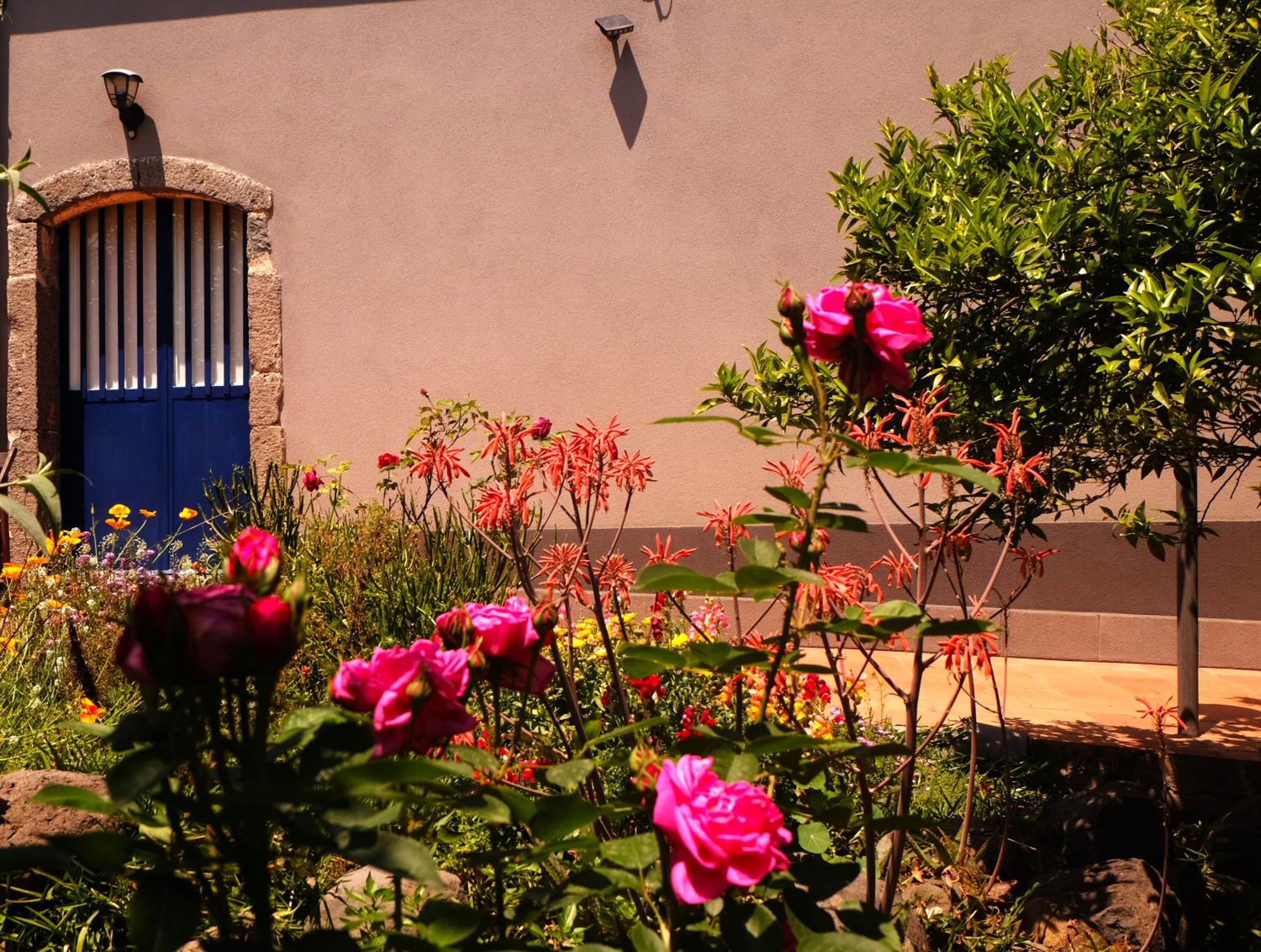 Photo 40