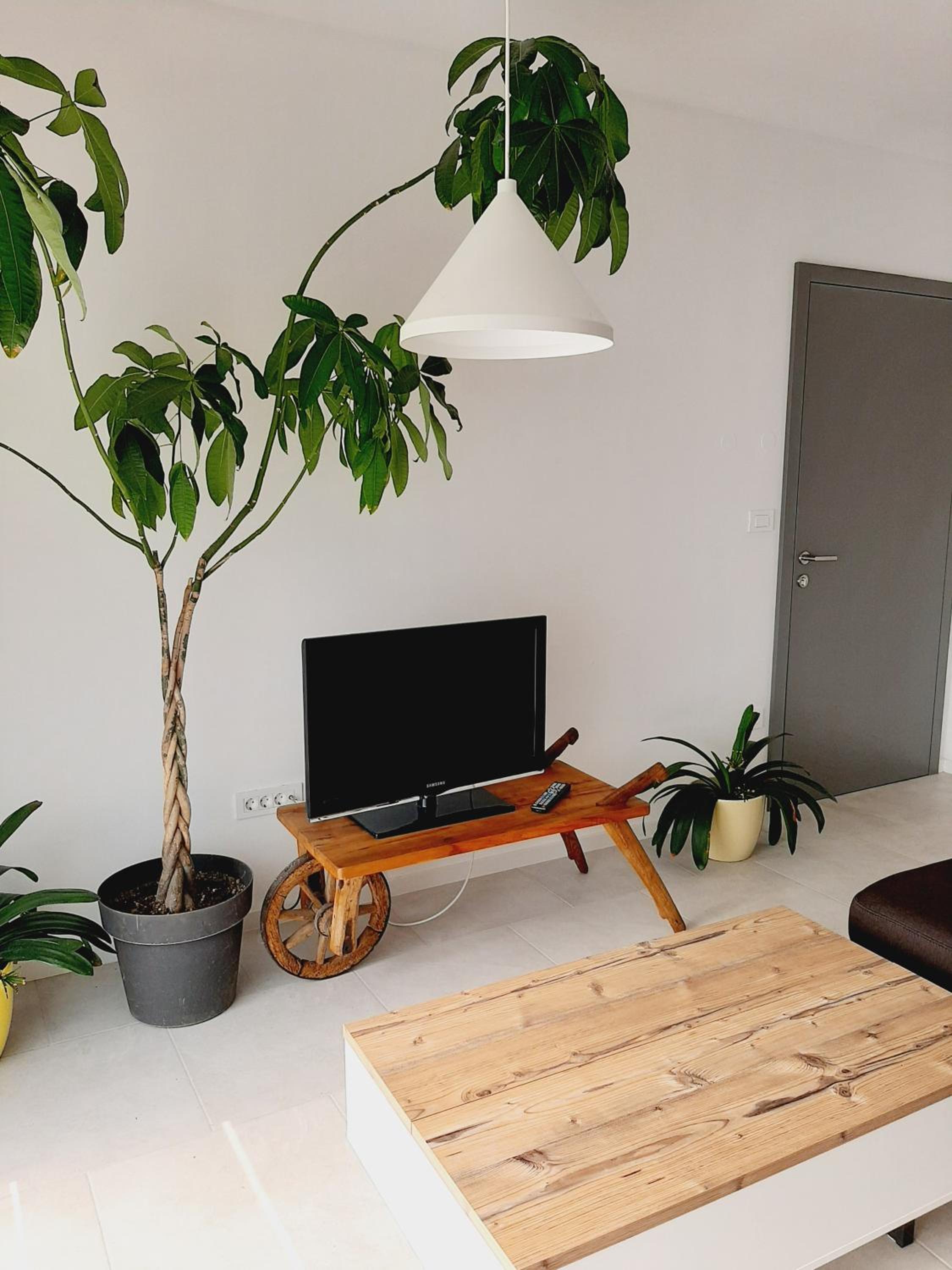 Green Bee Apartment view 3