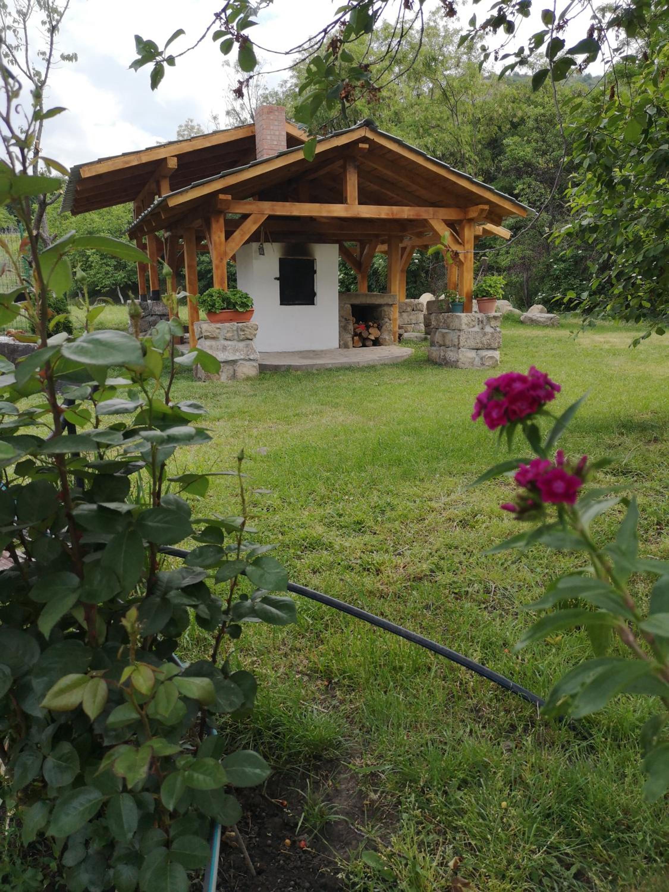 Casa Livada Bunicii view 4