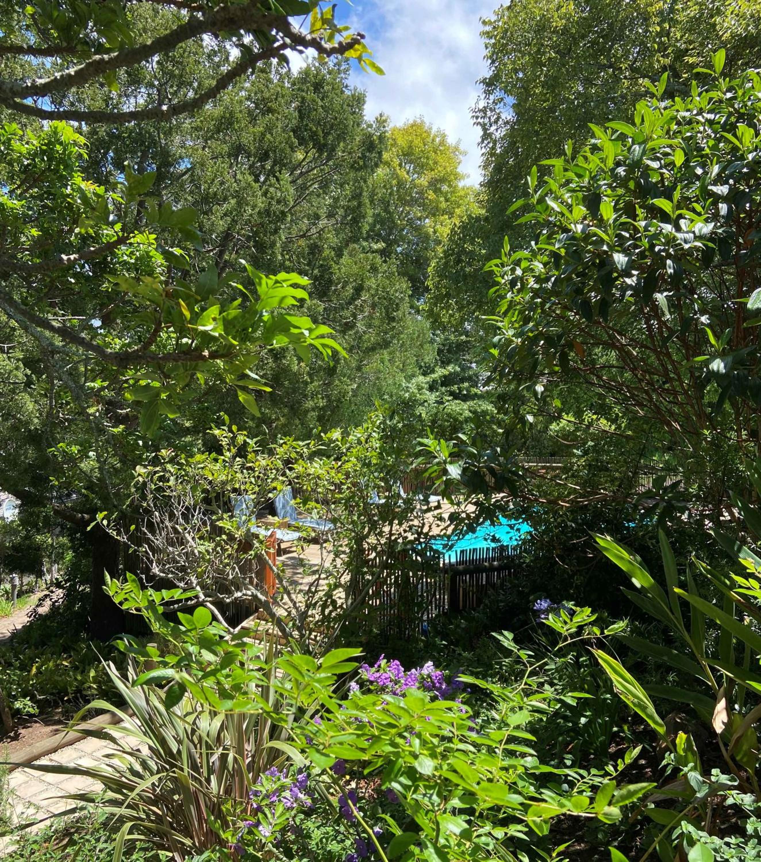 Badger's Cottage — photo 18