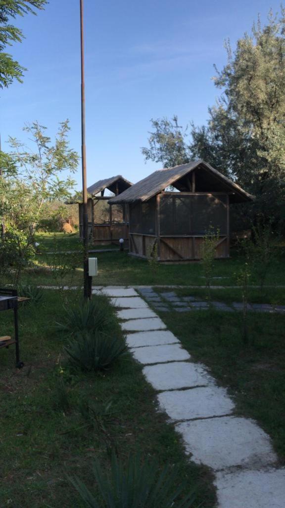 Photo 26