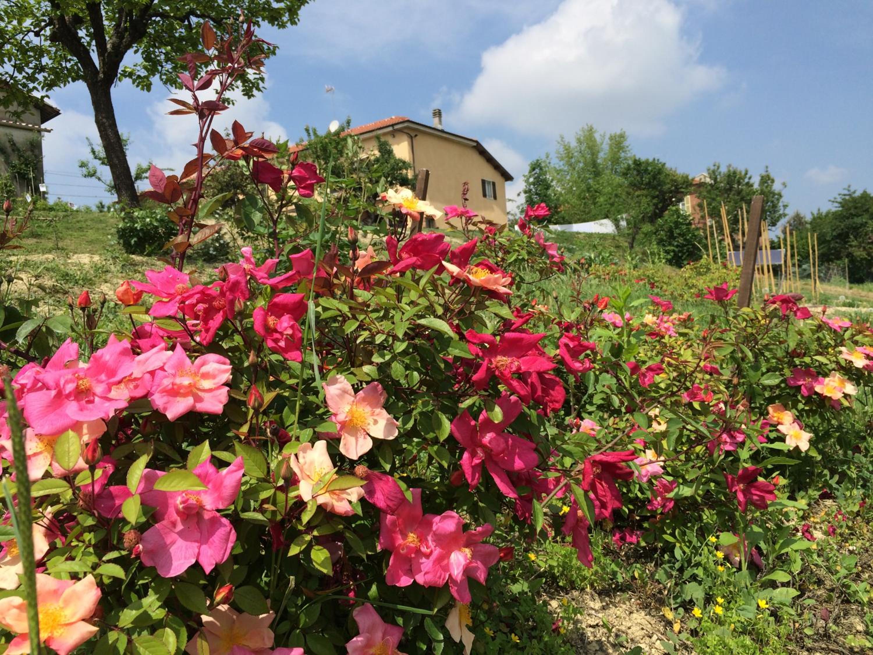 Cascina Vicentini