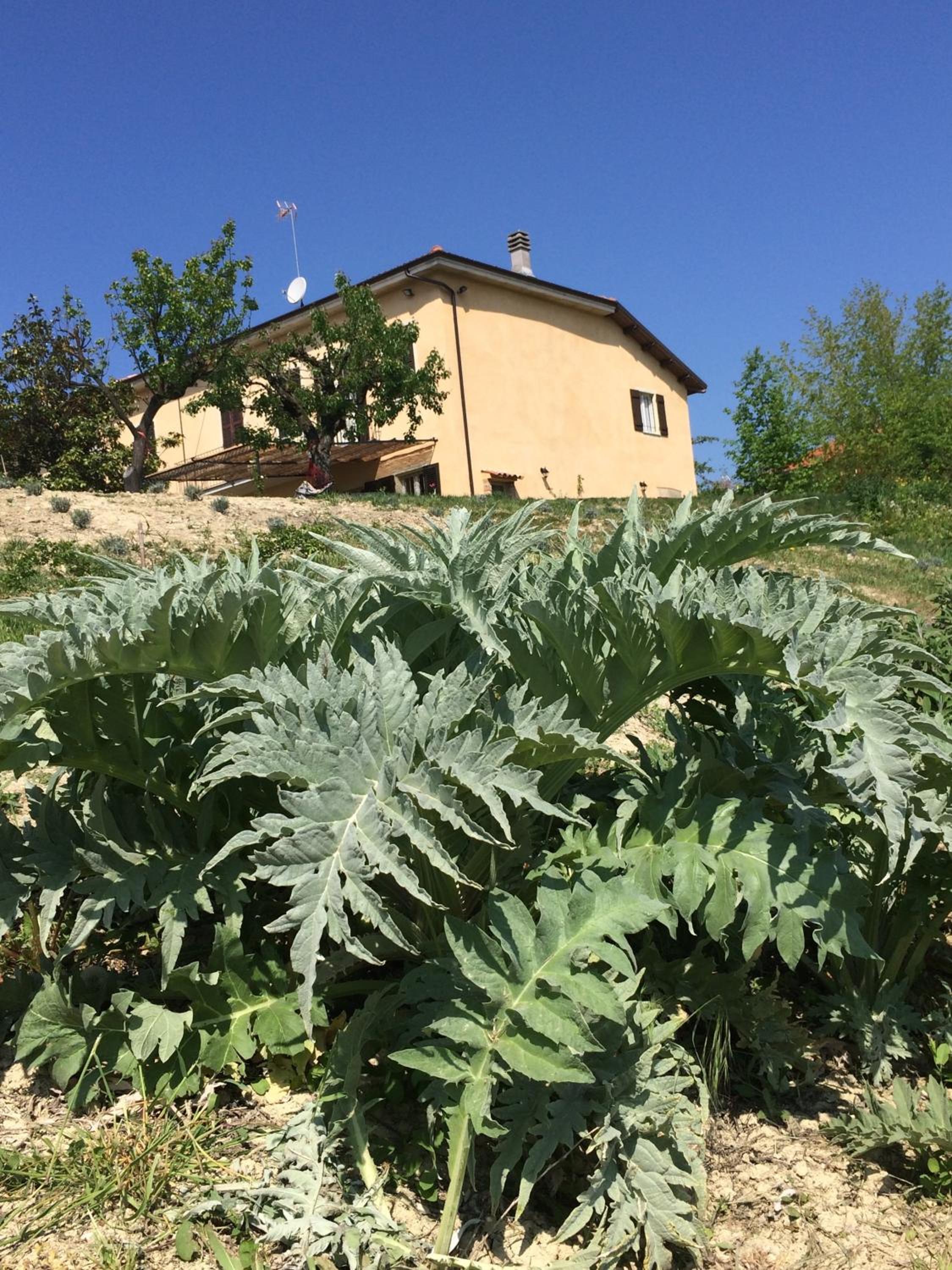 Cascina Vicentini