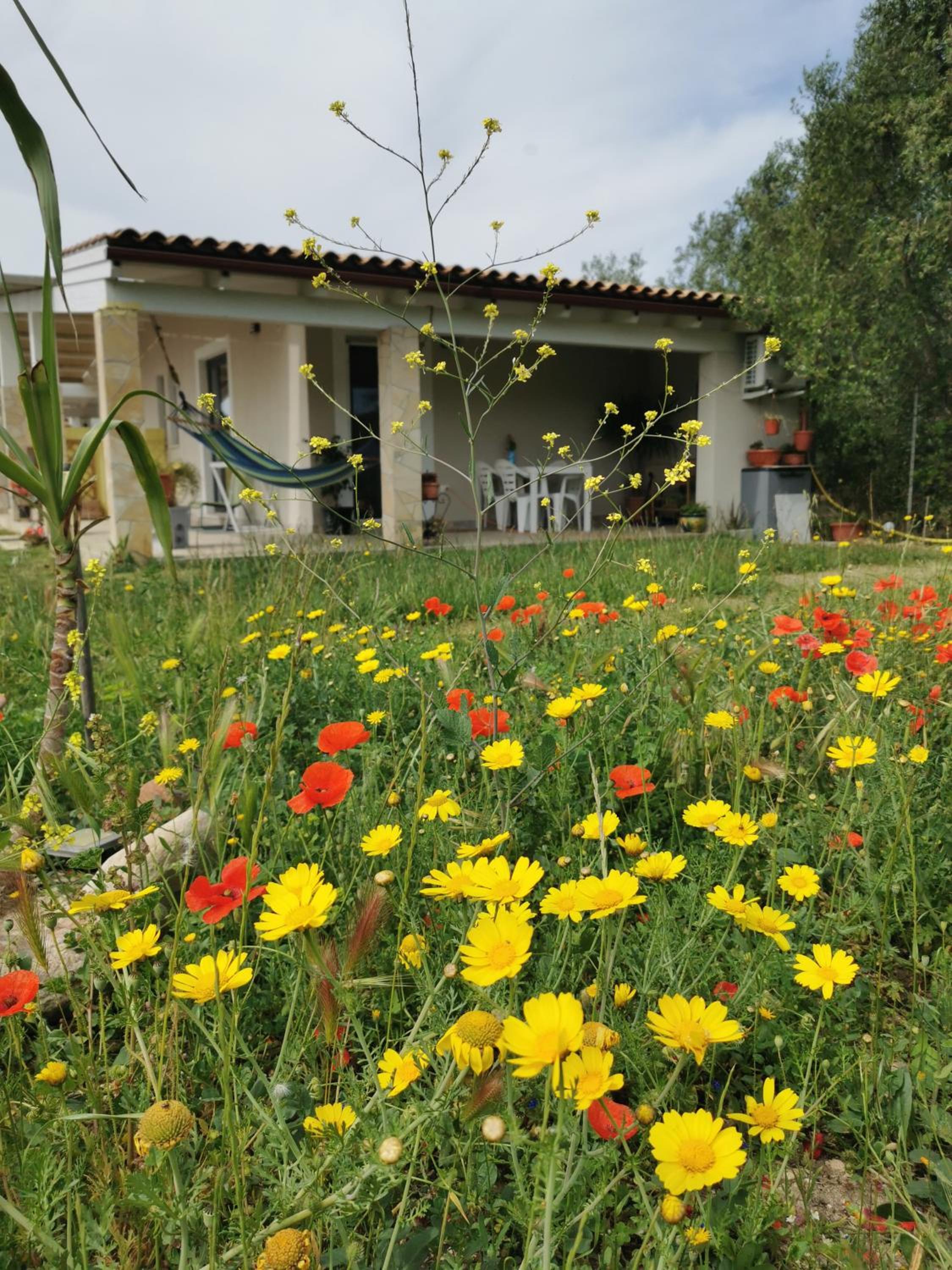 Casa Cocco photo 5