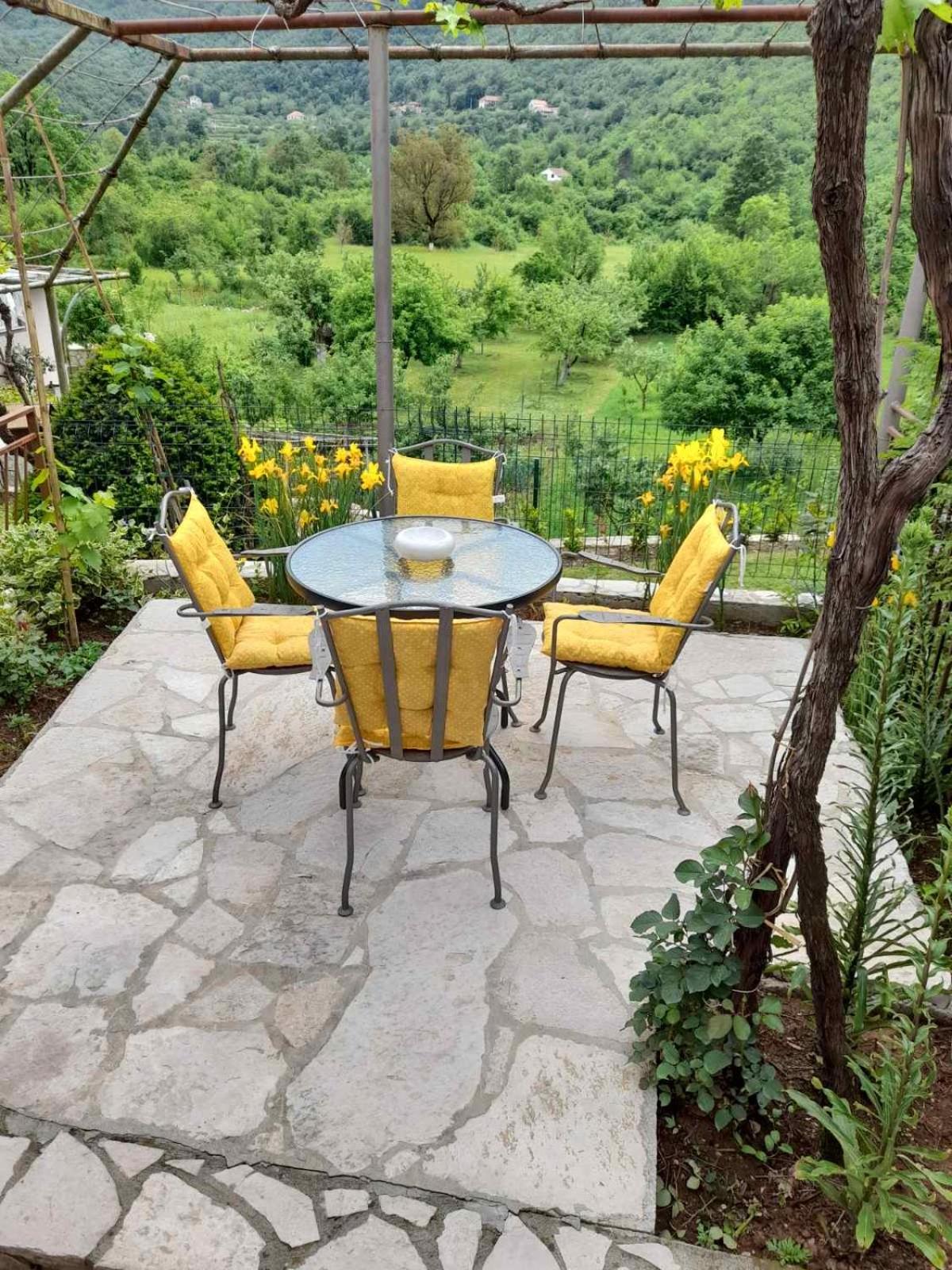 Aleksa view 2